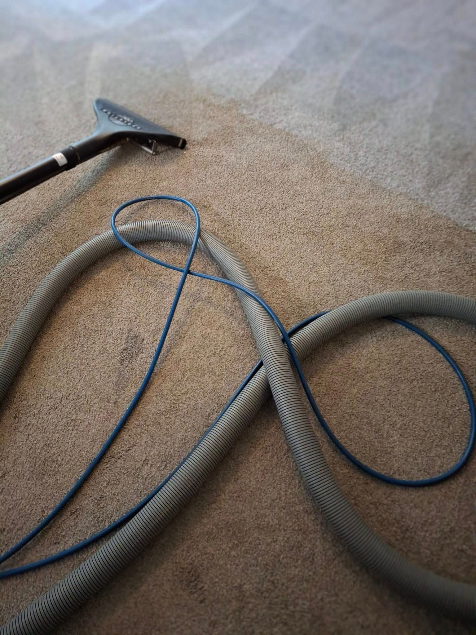 Carpet being cleaned with a hose and vacuum head, light tan carpet with streaks.