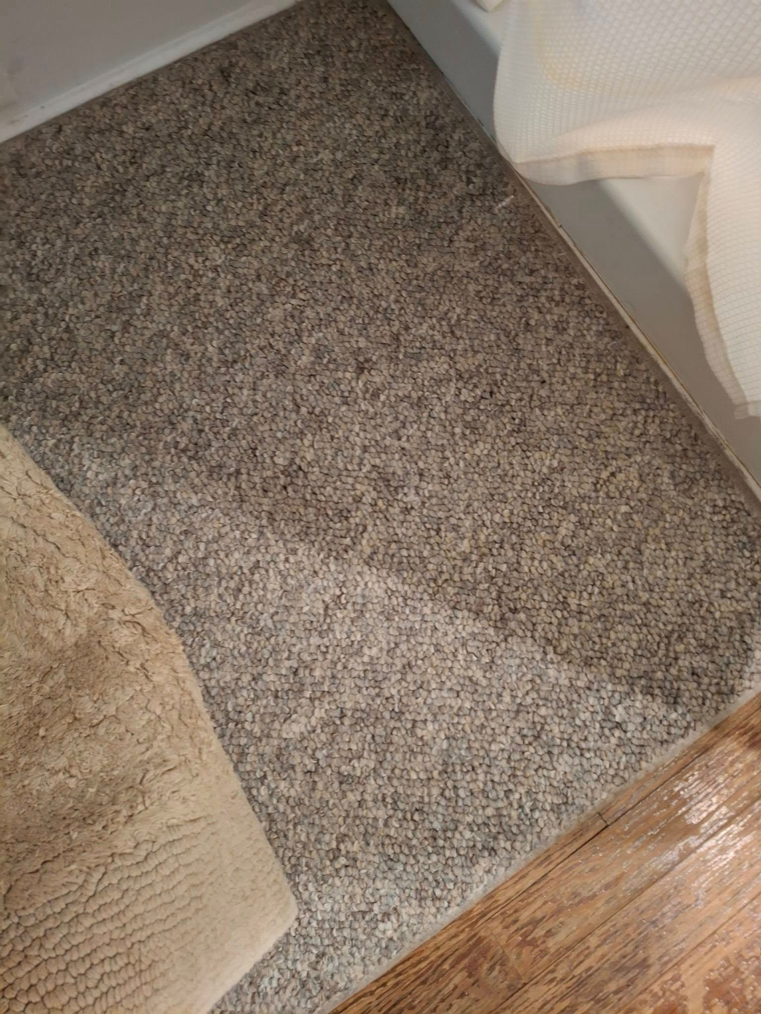 Tan carpet in a room with a wooden floor and part of a white wall and a bed.