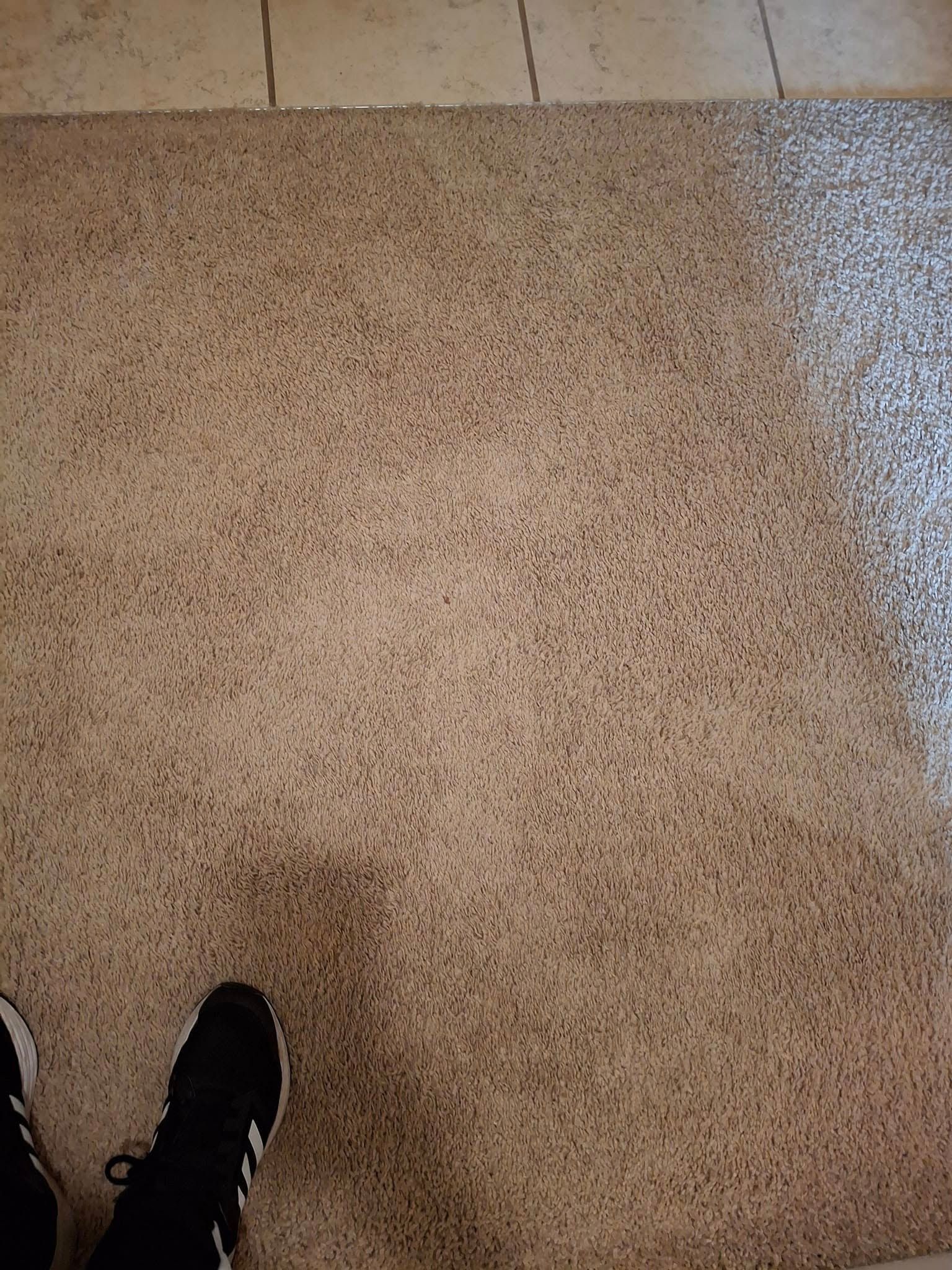 Person's feet with black shoes on speckled brown flooring. Beige and brown speckled texture.