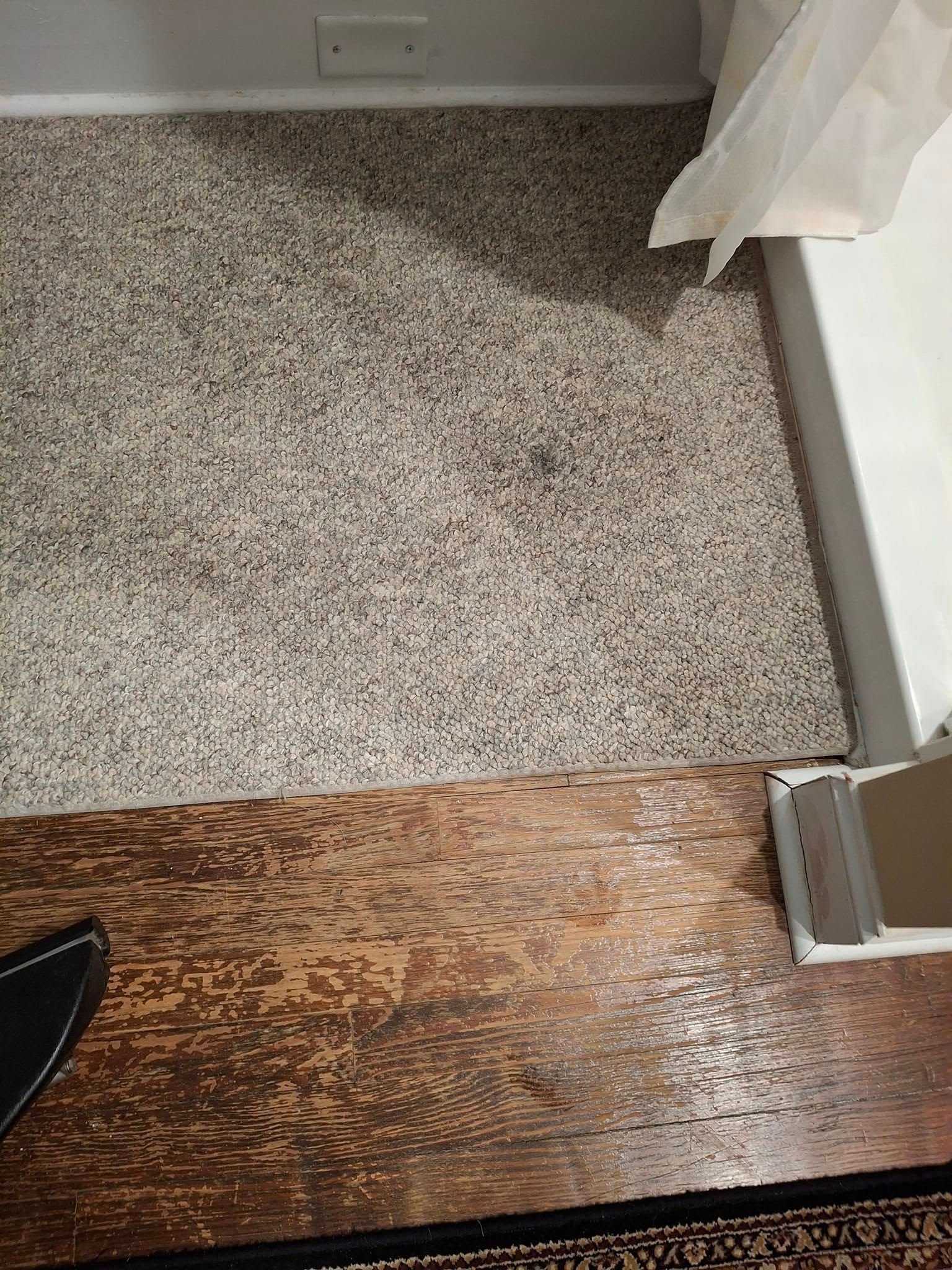 Carpeted floor transitions to wooden floor, near a white wall and a curtain.