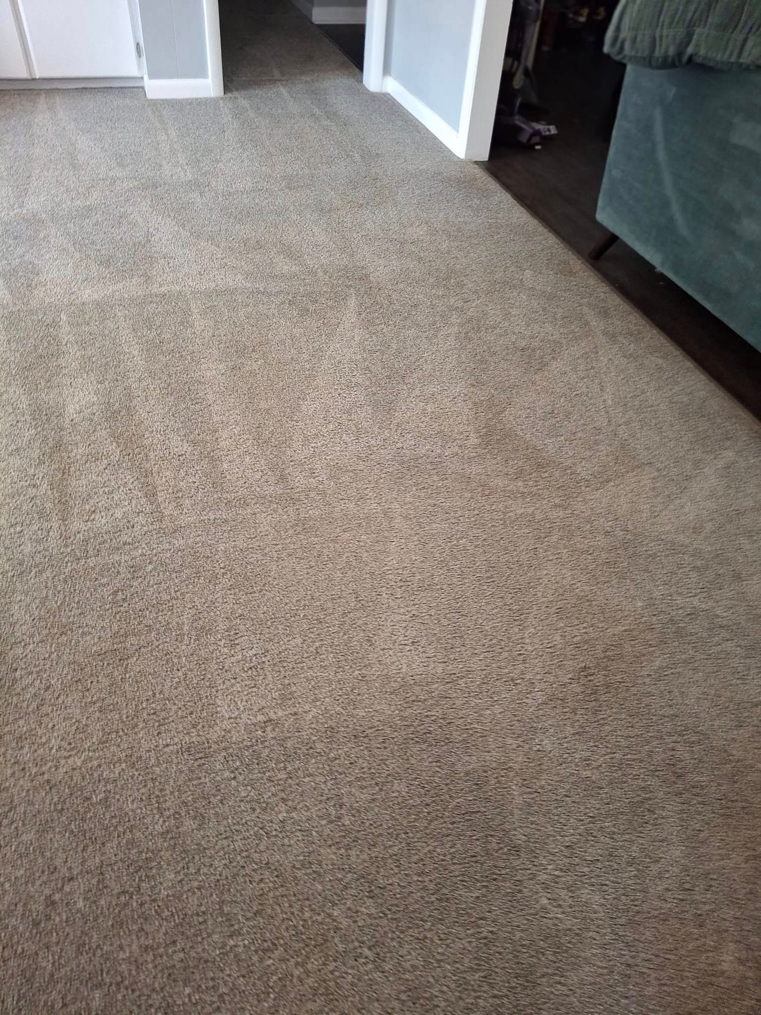 Beige speckled carpet in a room, with white door frames and a teal couch.