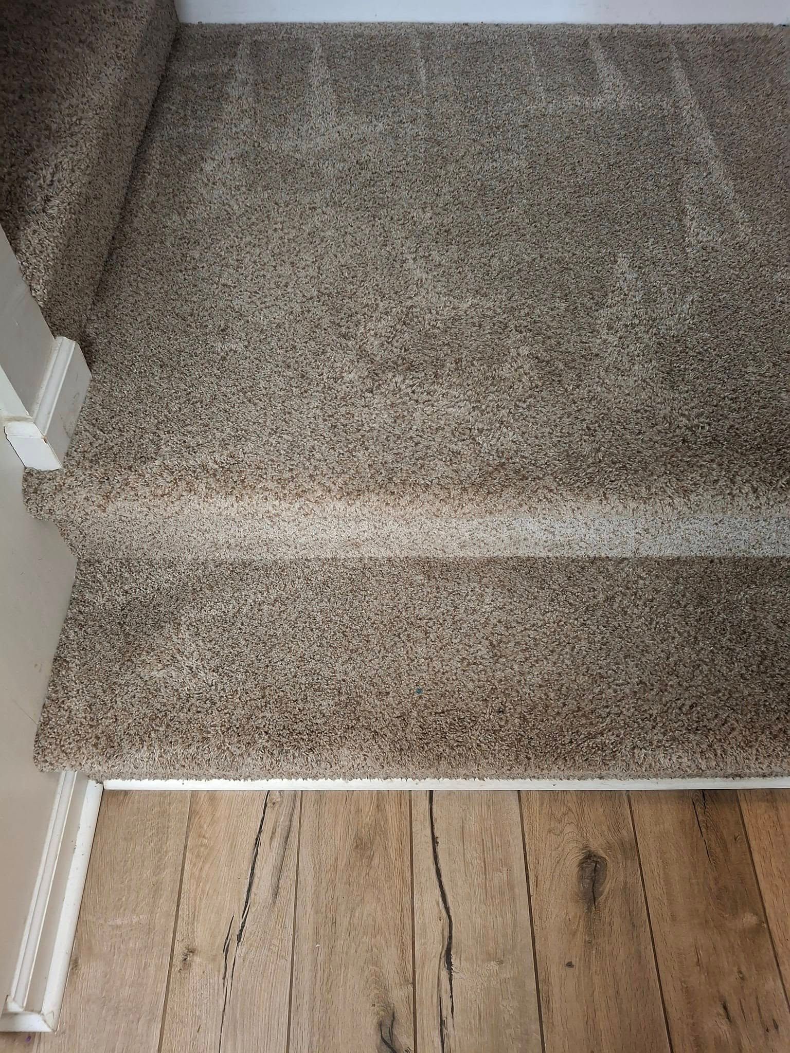 Carpeted staircase with light wood flooring. Neutral-toned carpet covers the steps and landing, adjacent to a white banister.