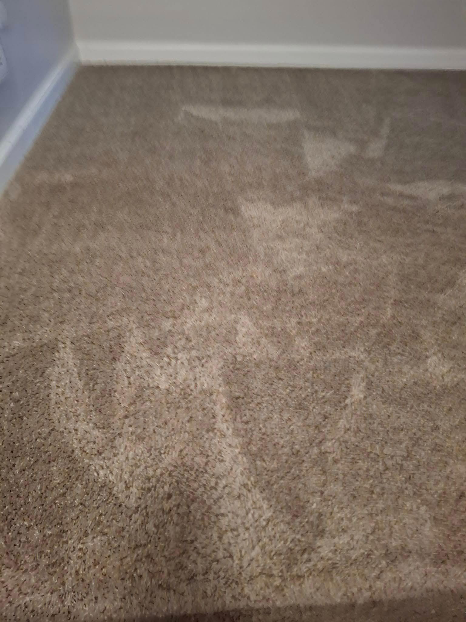Beige carpet with darker patches, possibly cleaned areas.