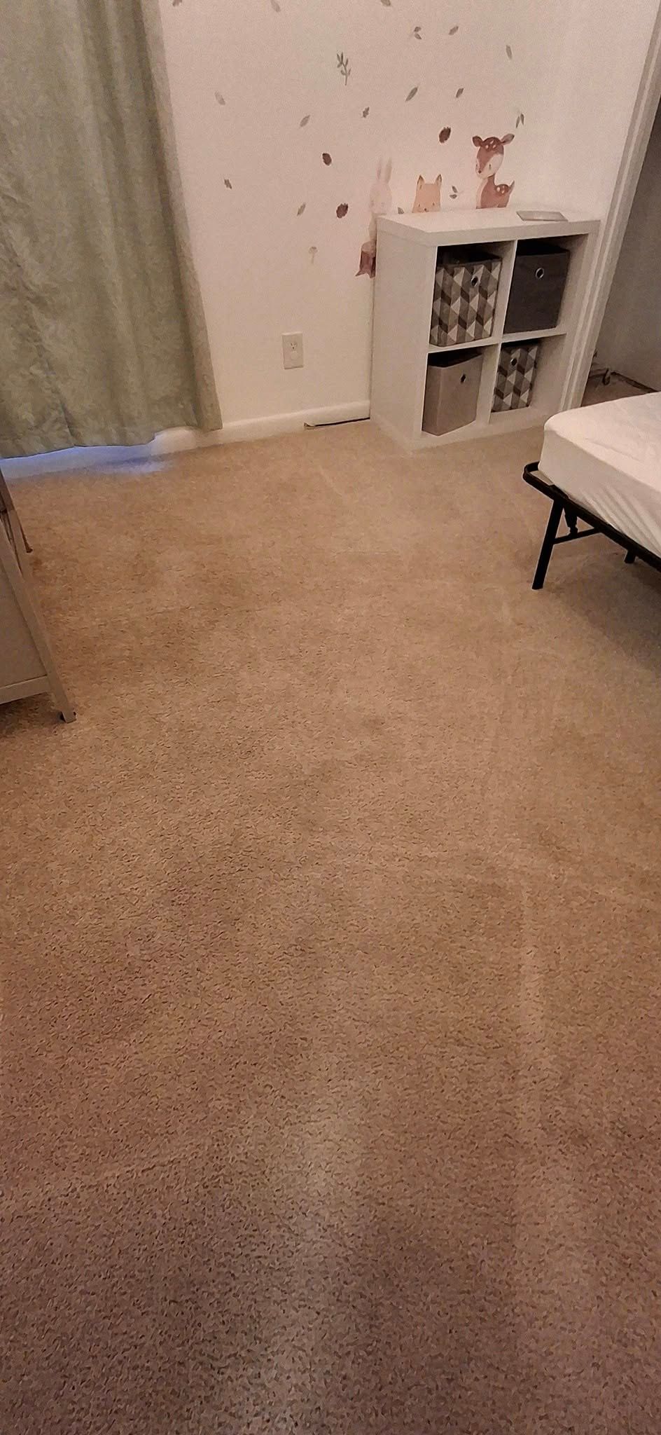 Room with carpet, a white shelf with bins, a bed, and a curtain.