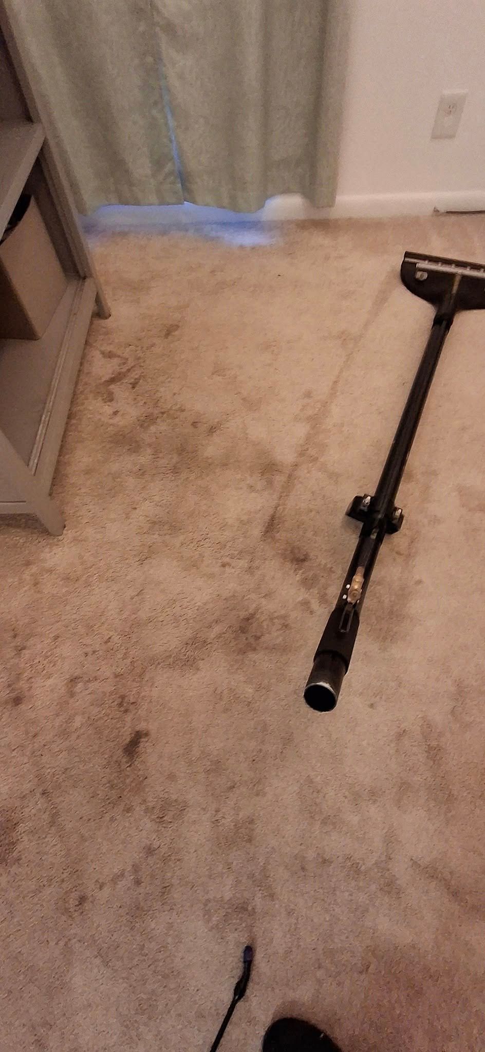 Carpet with a vacuum cleaner handle and a dust spot. Light beige carpeted floor in a room.