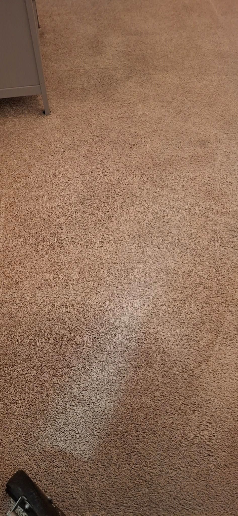 Brown carpet with a light-colored streak, possibly from cleaning.