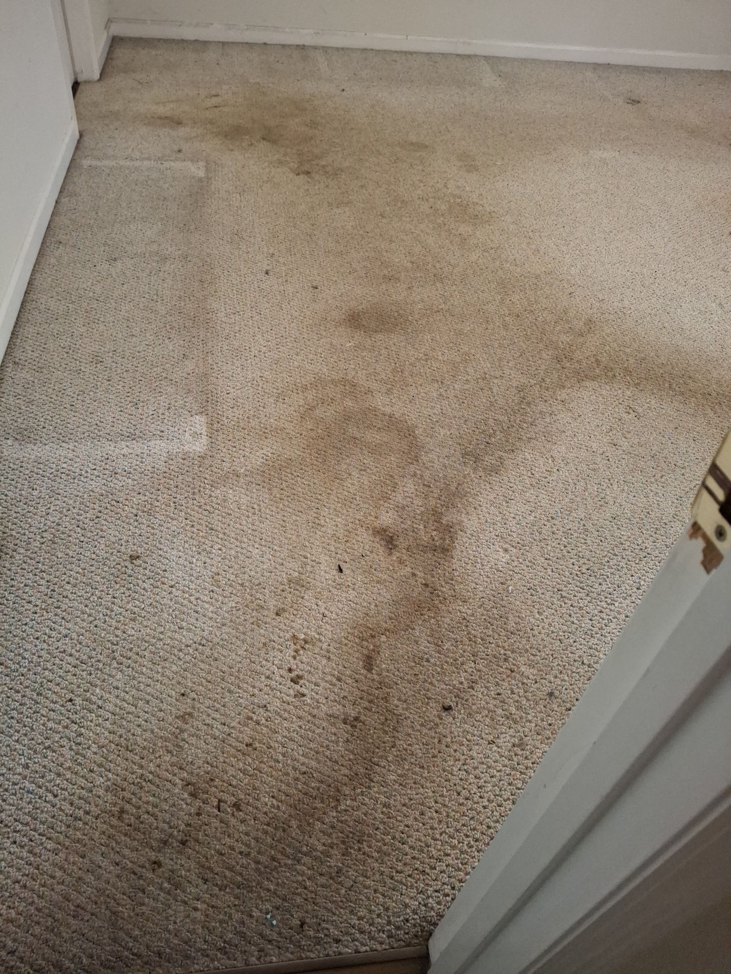 Dirty beige carpet with dark stains and a partial doorway on the right.