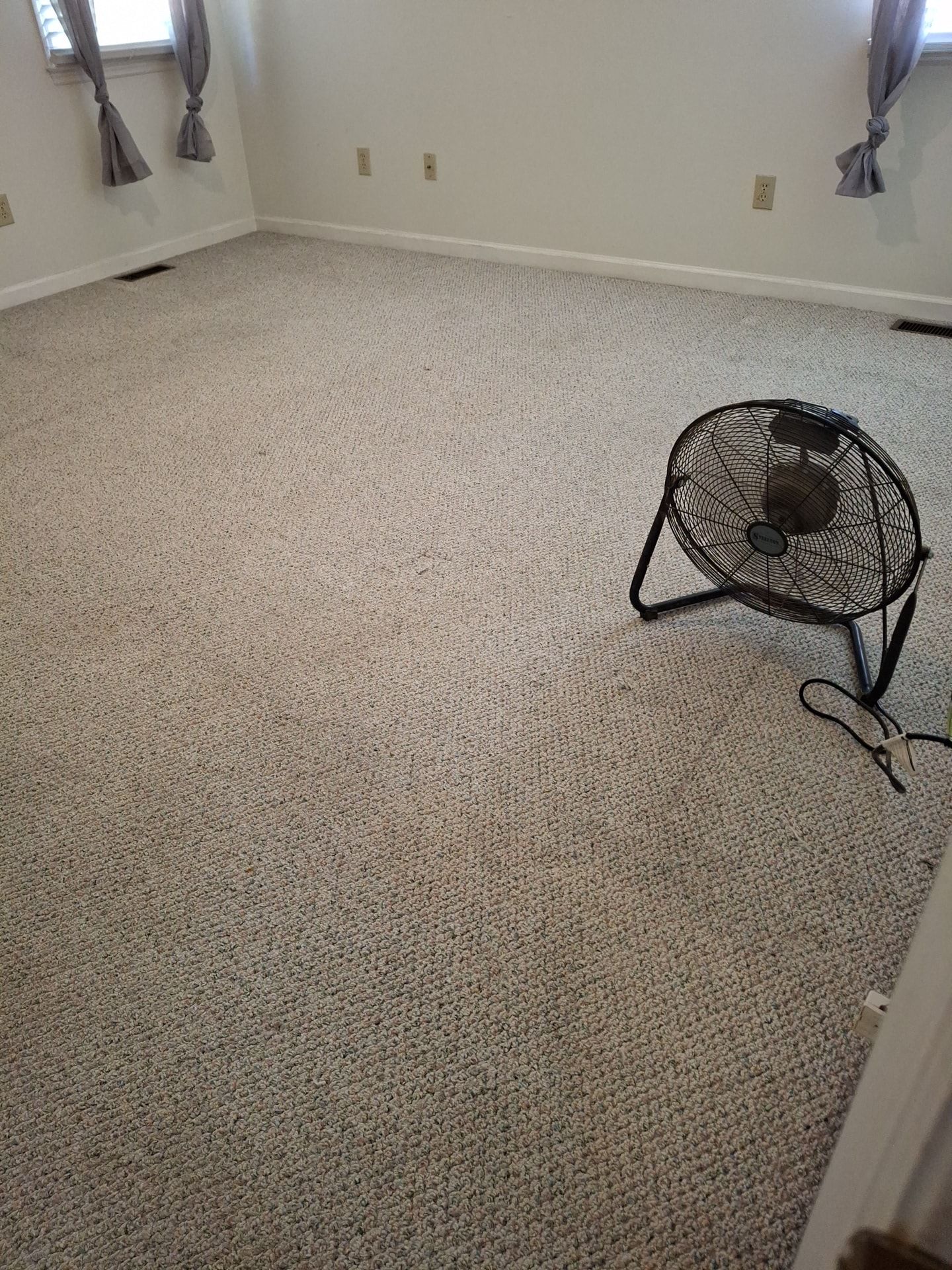 Beige carpeted room with a black fan near a door, two windows in the background.