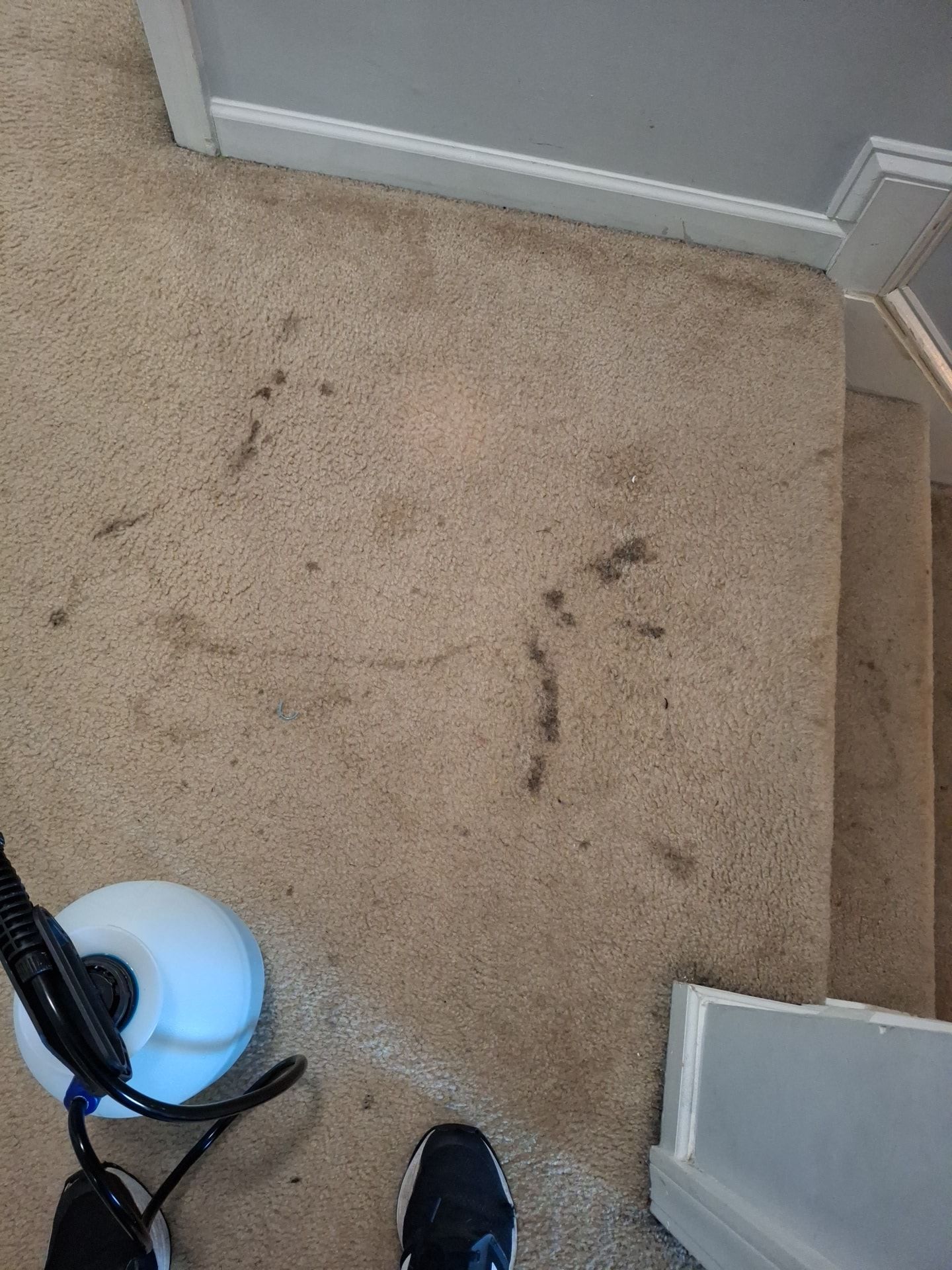 Tan carpet with dark stains being cleaned with a white cleaning machine. A person's feet and the edge of a staircase are visible.