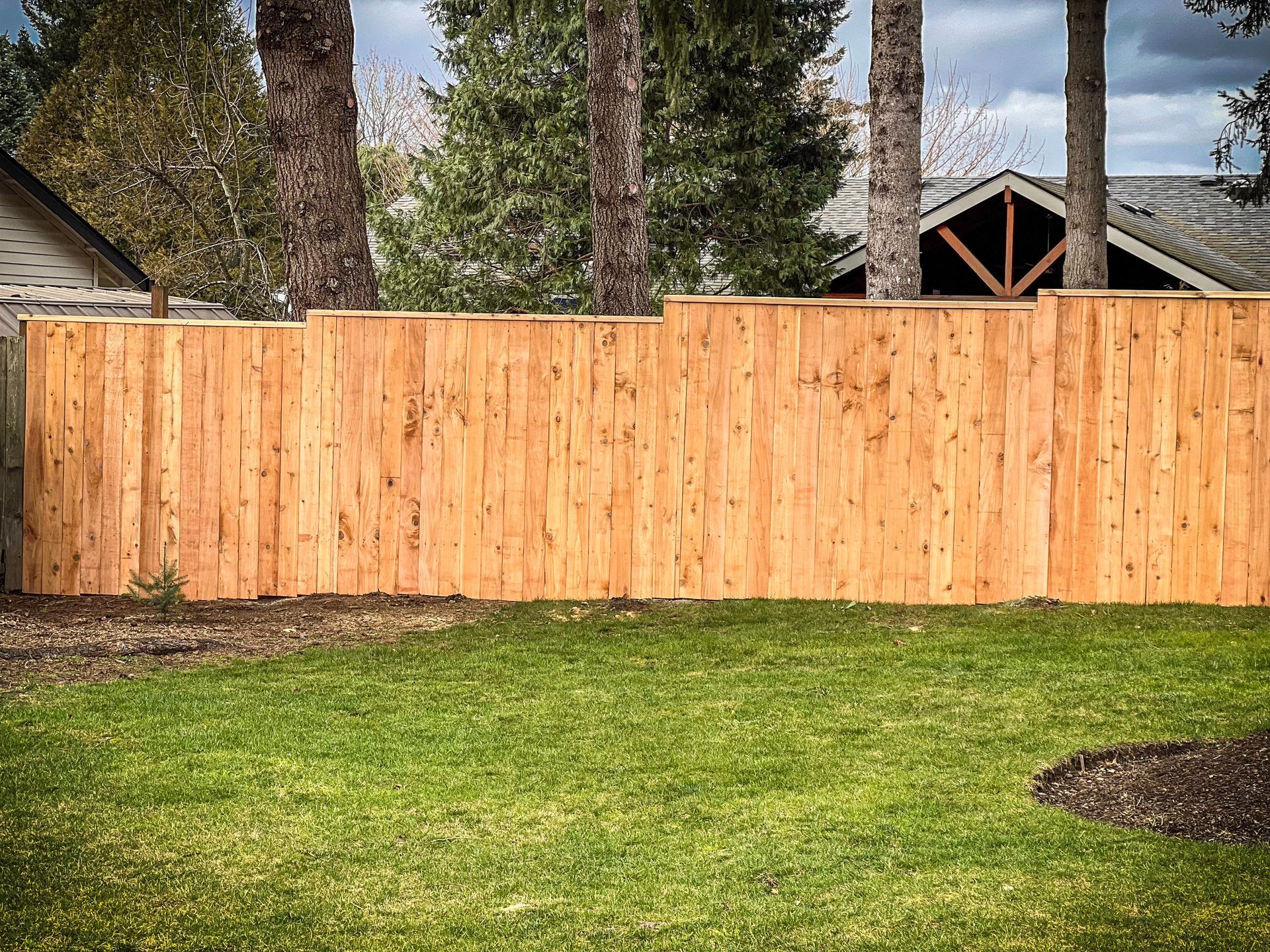 Wooden fence in a grassy backyard, trees in the background, overcast sky.