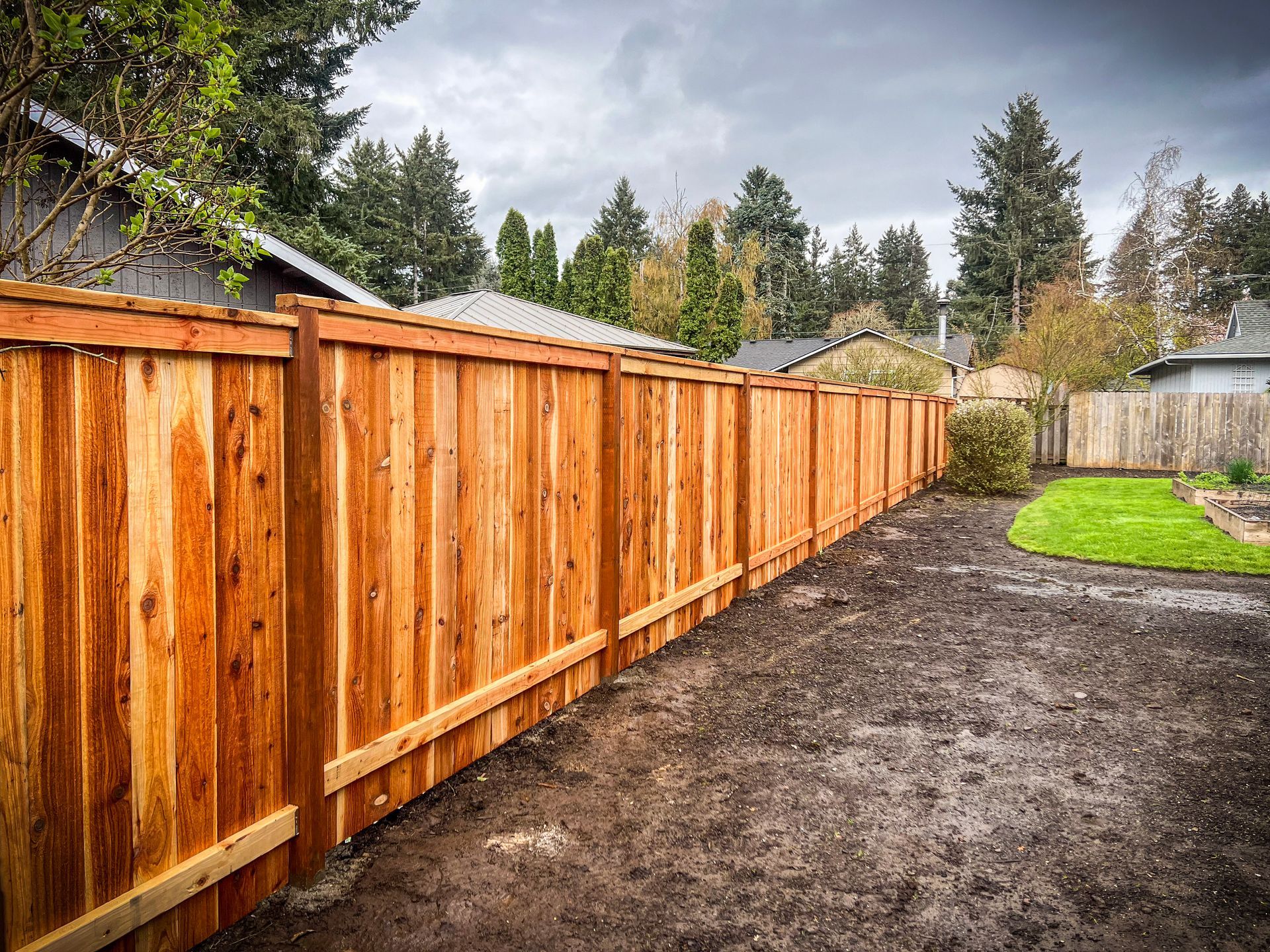 Wooden privacy fence in backyard, with brown wood panels and green grass.