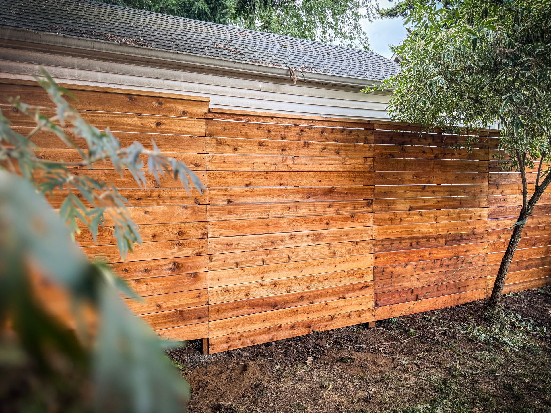 Wooden horizontal slat fence in a yard with a tree and foliage.