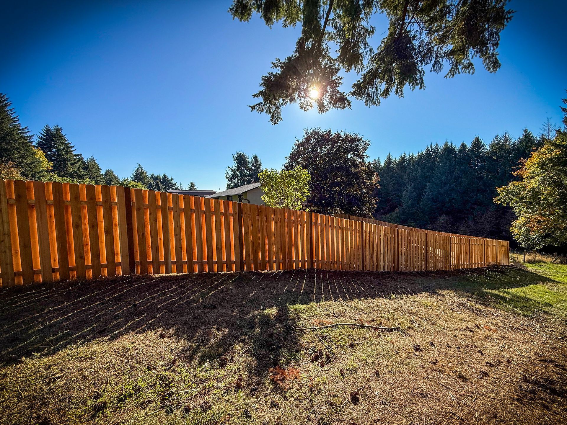 Wooden fence in a sunny yard with trees and clear blue sky.