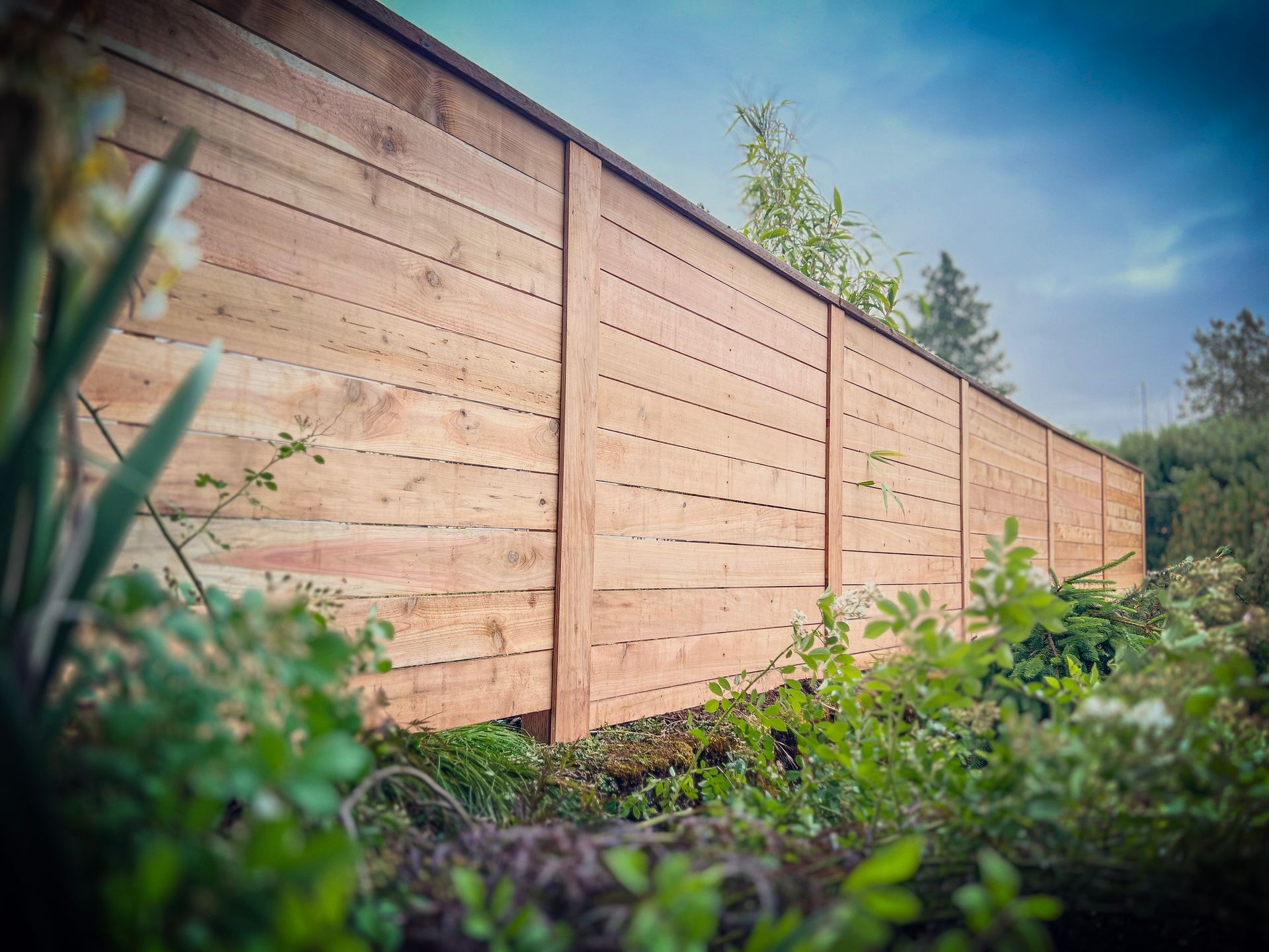 Wooden fence in a garden, low angle, long horizontal planks, surrounded by green plants.