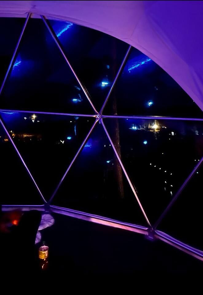 Night view through a geodesic dome window, purple lighting. City lights visible in the distance.