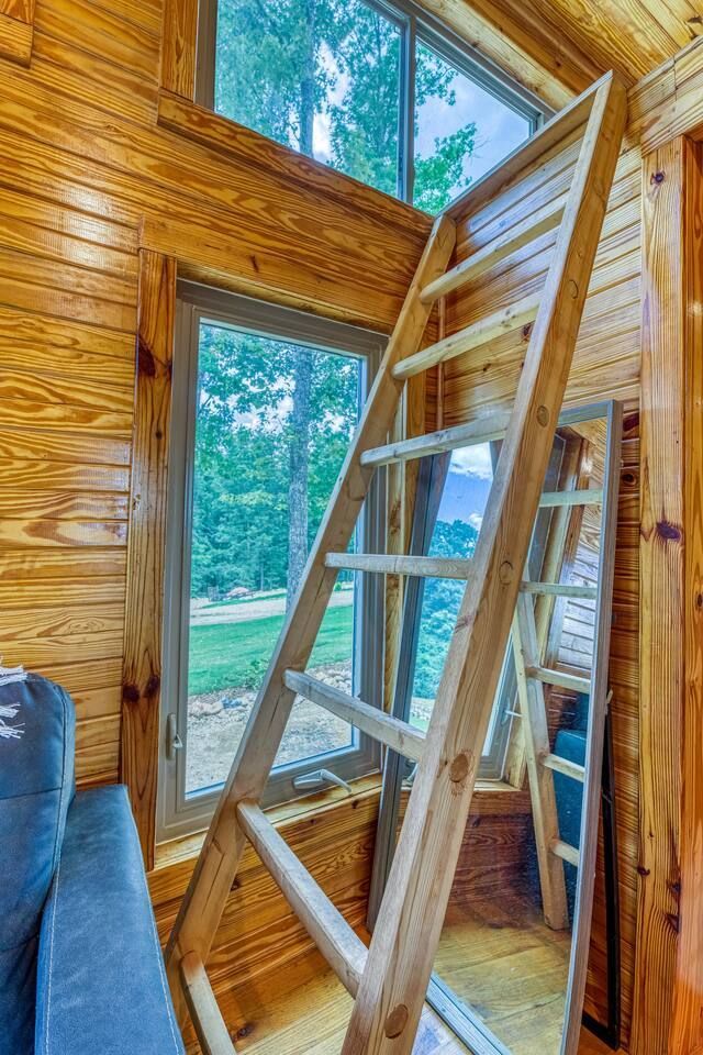 Wooden ladder propped against a window inside a wood-paneled cabin; the outside view shows trees.