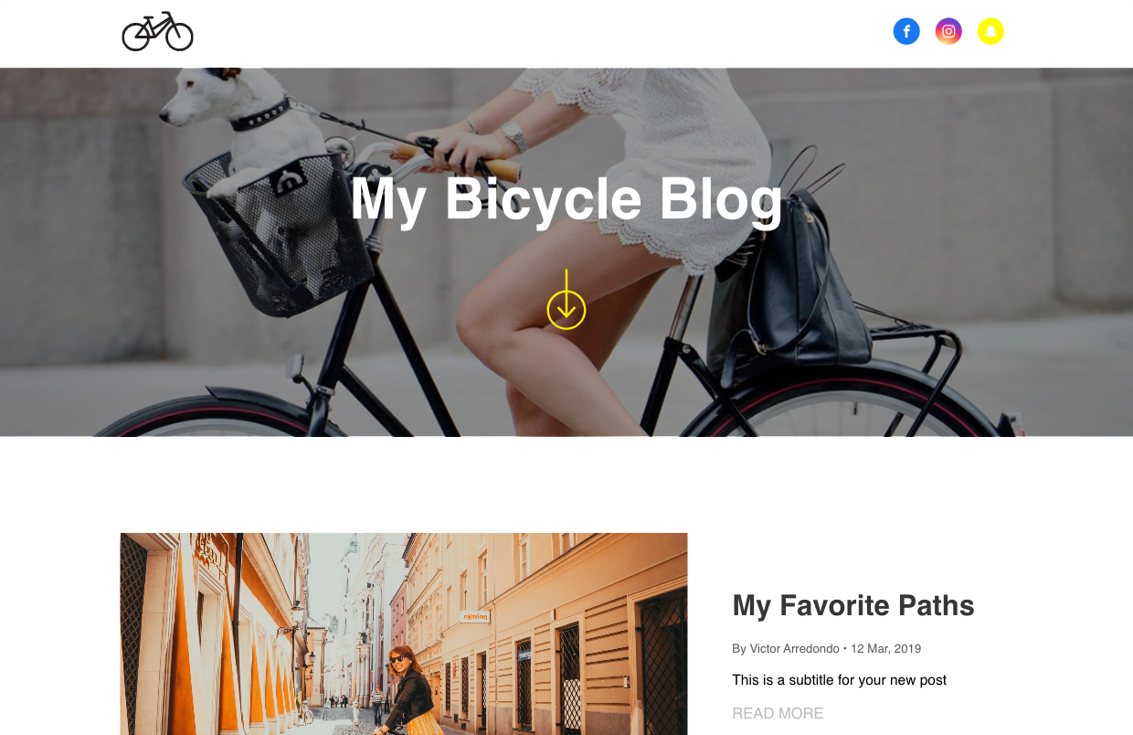 A woman is riding a bike with a dog in a basket.