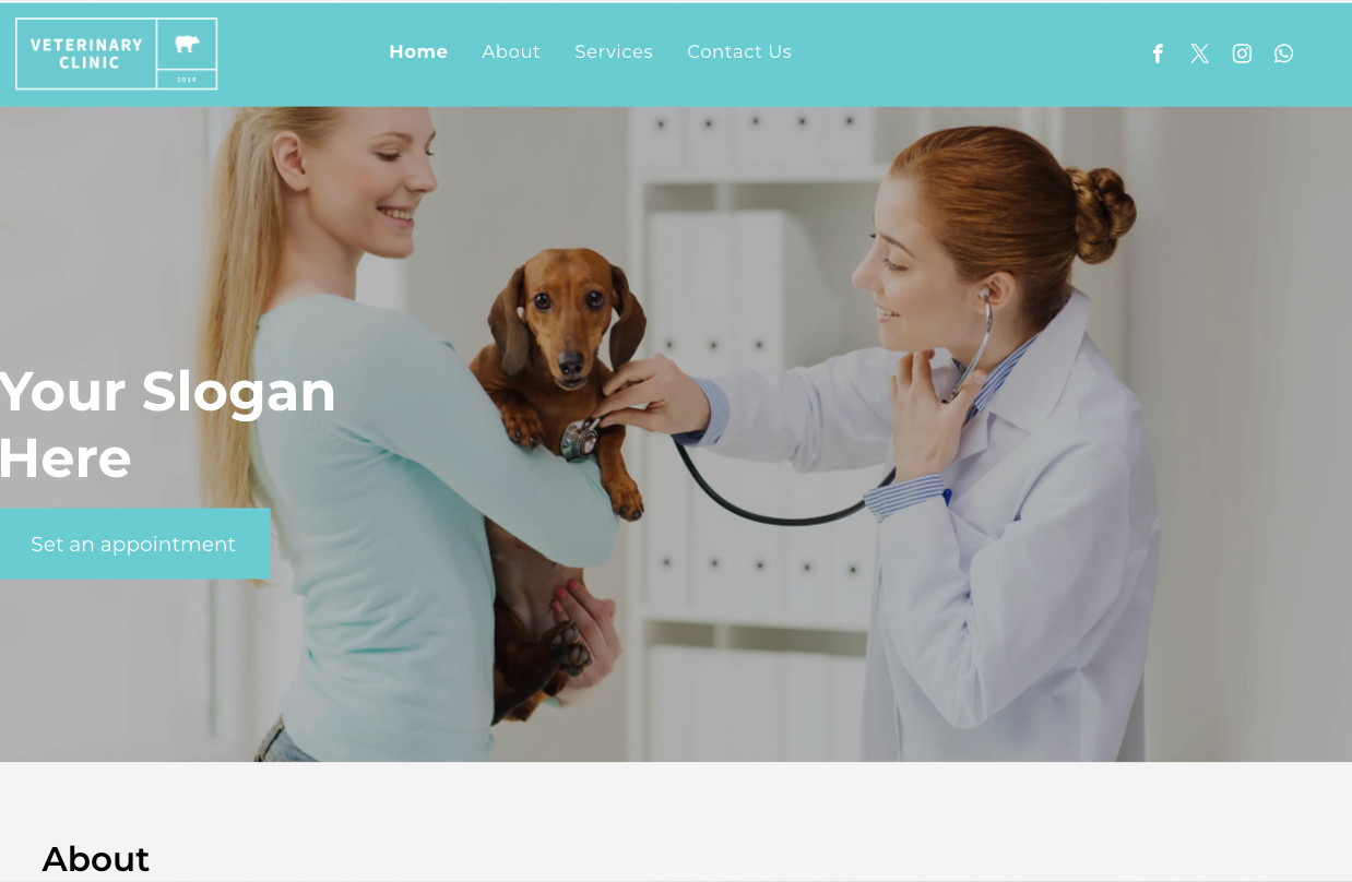 A woman is holding a dog while a veterinarian examines it with a stethoscope.