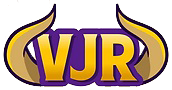 Viking Junk Removal Logo
