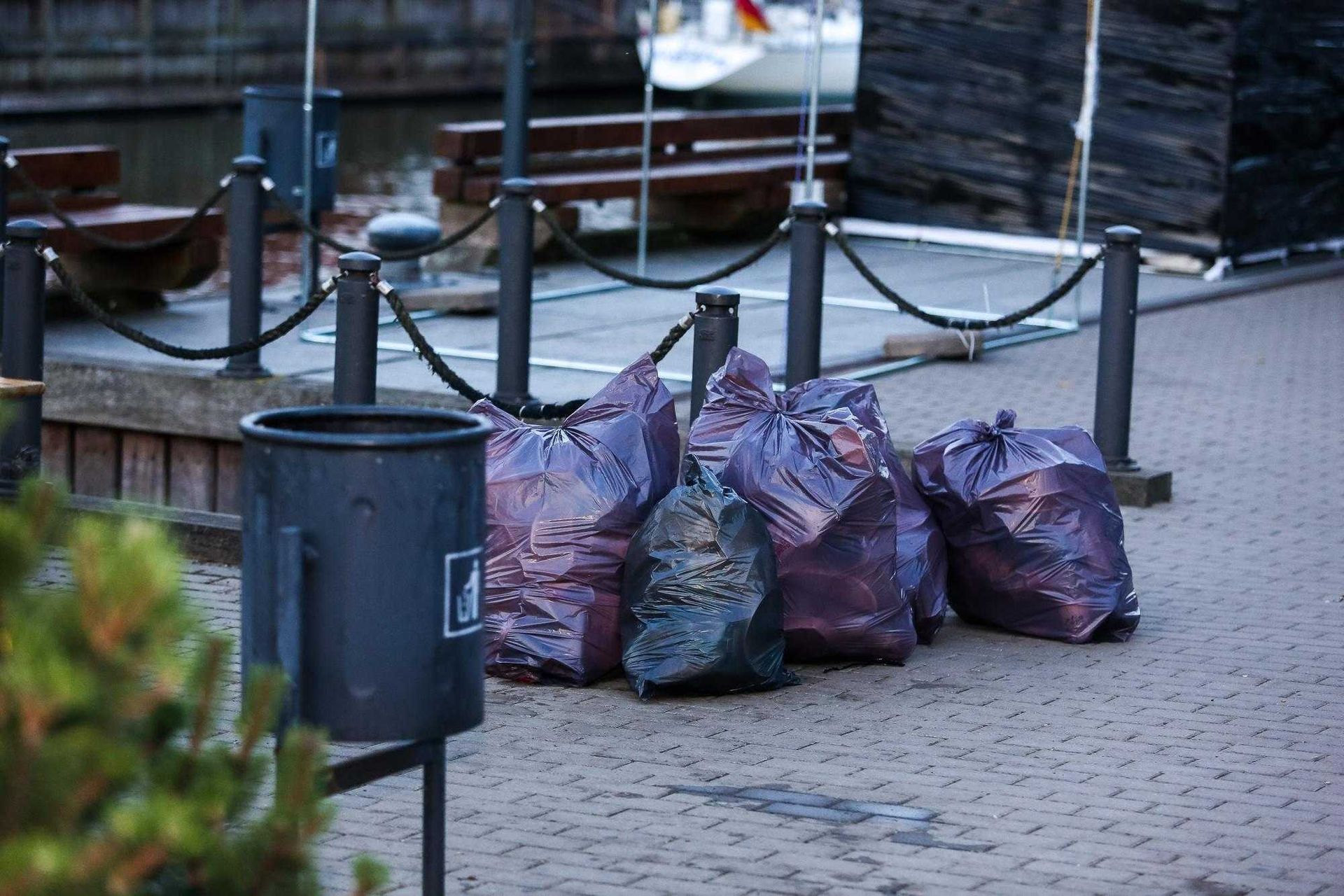  Junk Removal Services