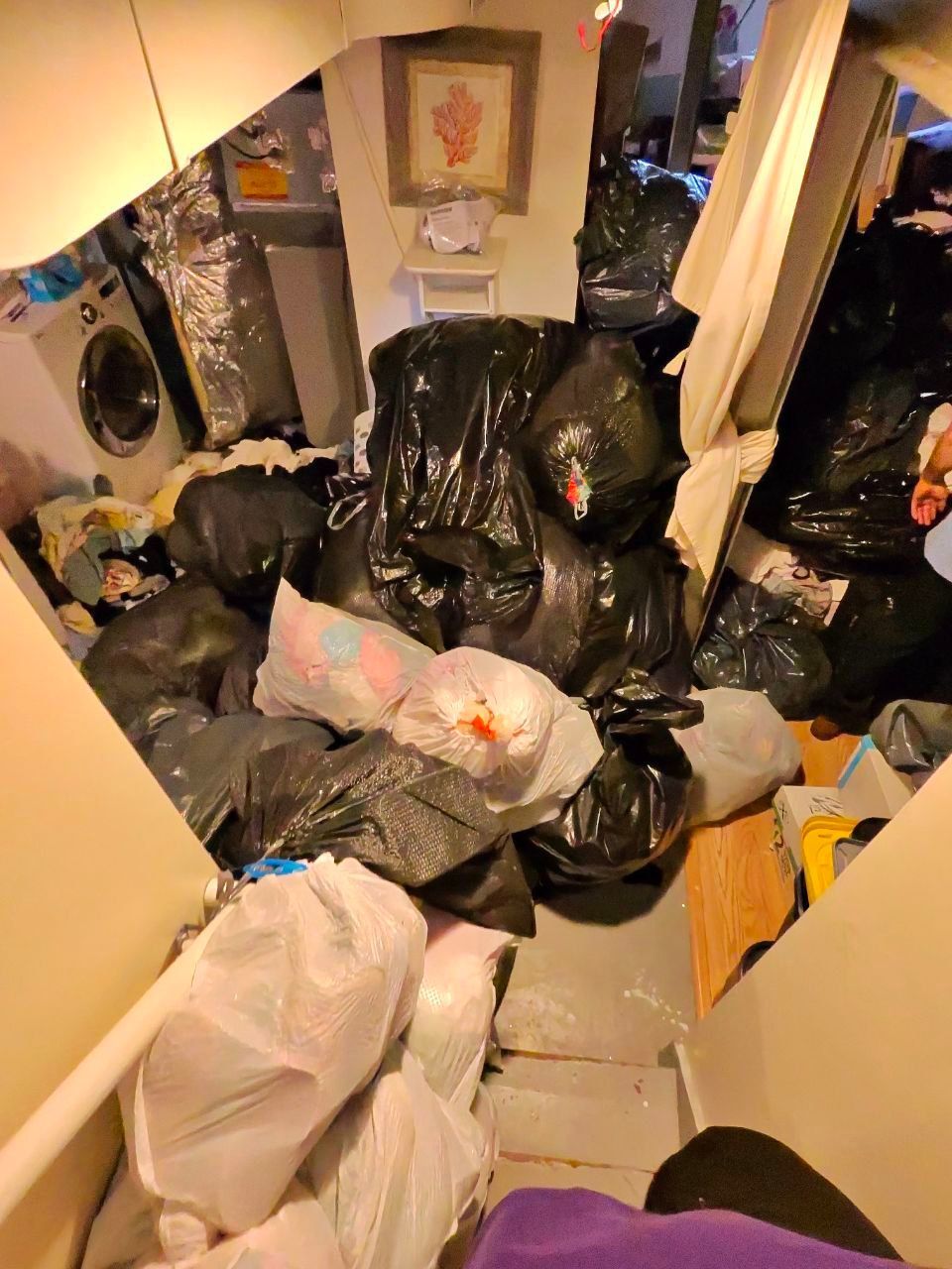 Junk Removal Fridley