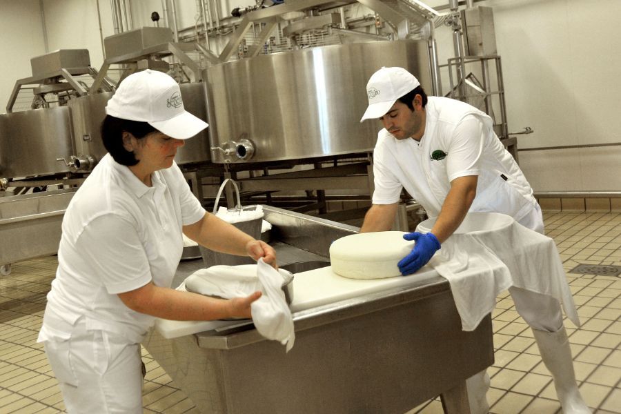 produzione formaggi