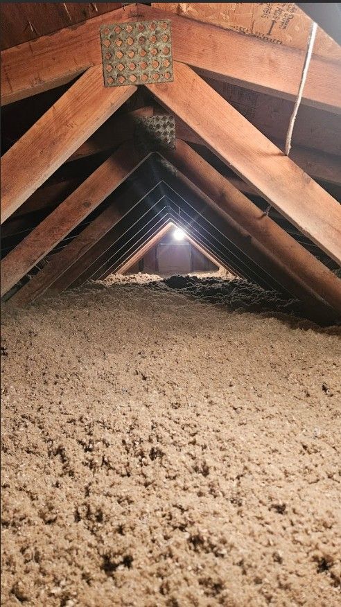 new pest free attic insulation Ladue MO |Buckingham Pest Control