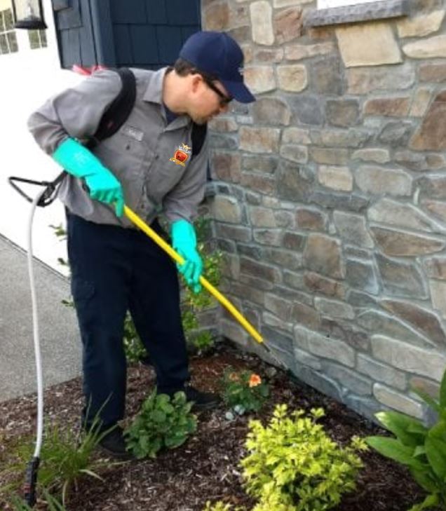 a man wearing gloves is spraying plants in front of a stone wall