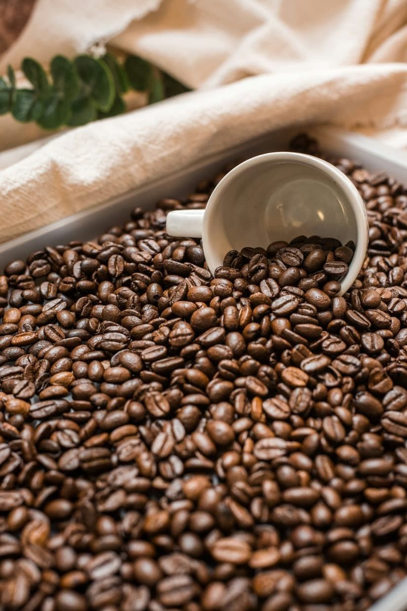 Roasted robusta coffee beans