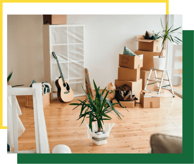 A room filled with cardboard moving boxes, a white shelving unit, an acoustic guitar, and several potted plants.
