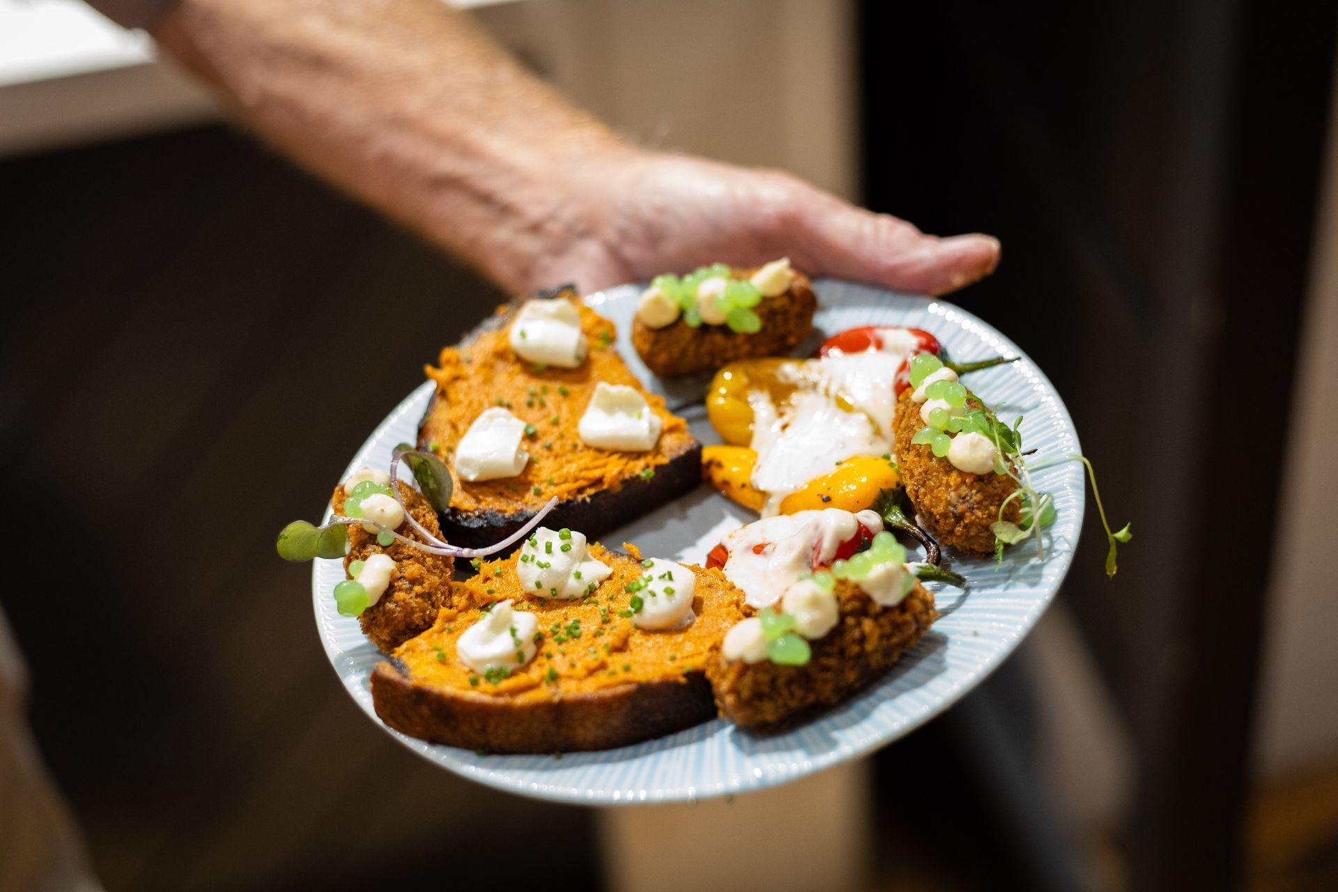 Person holding a plate of gourmet appetizers: toast with spread, breaded bites, and peppers, garnished with sauce.