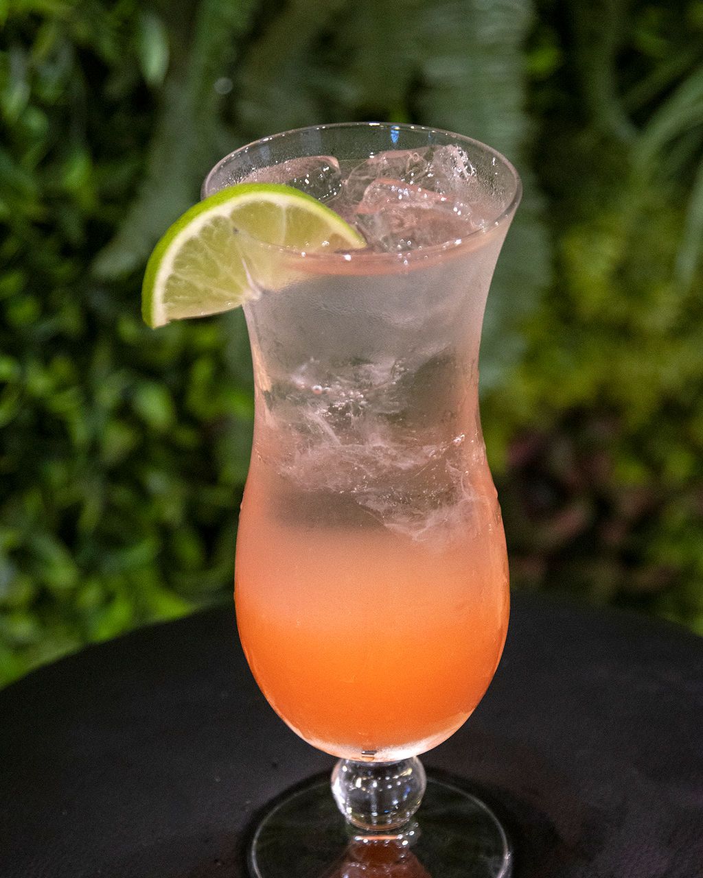 Cocktail in a tall glass with a lime garnish, layered with orange and clear liquids, against a leafy green backdrop.