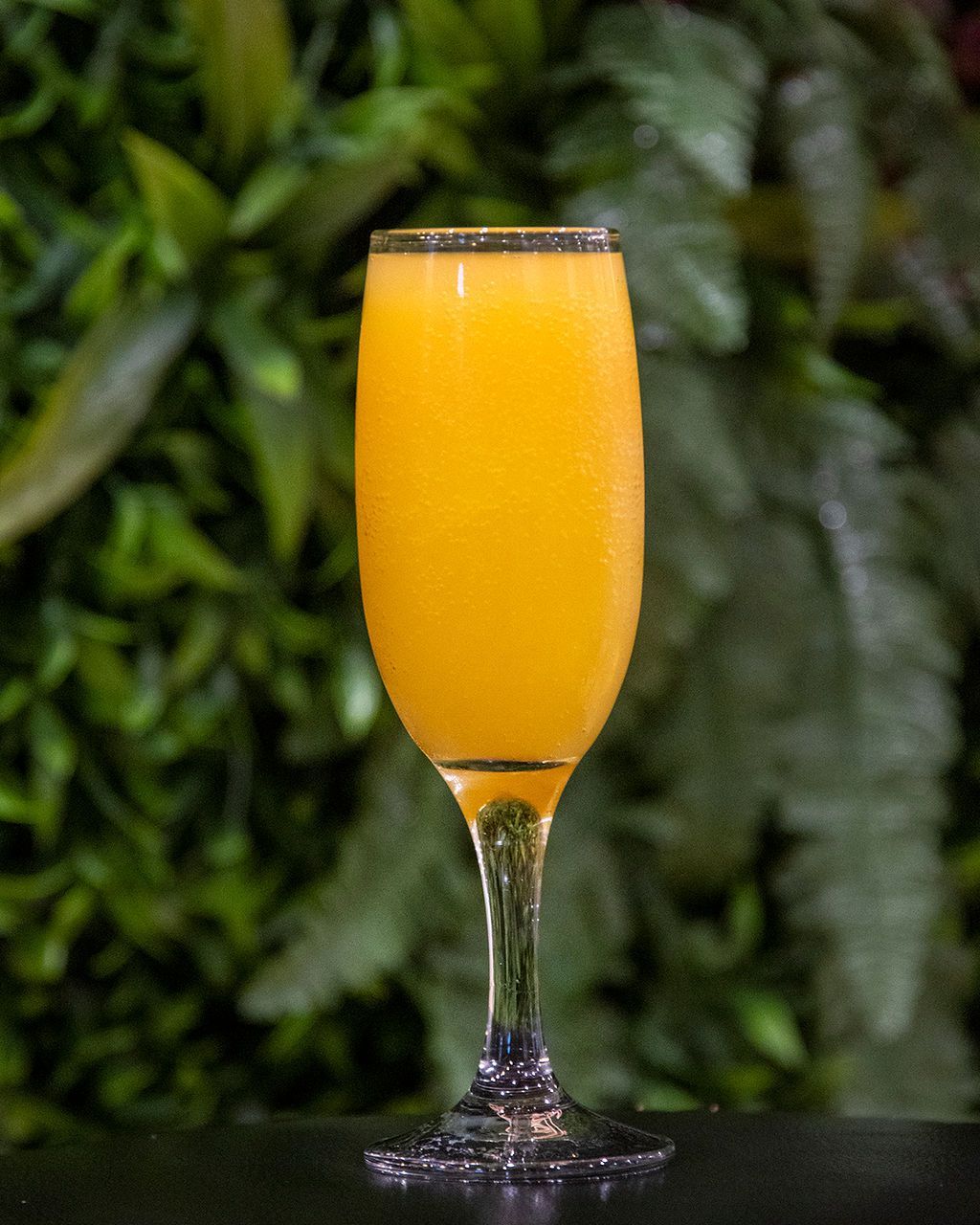A flute glass filled with a vibrant orange mimosa, set against a green leafy backdrop.