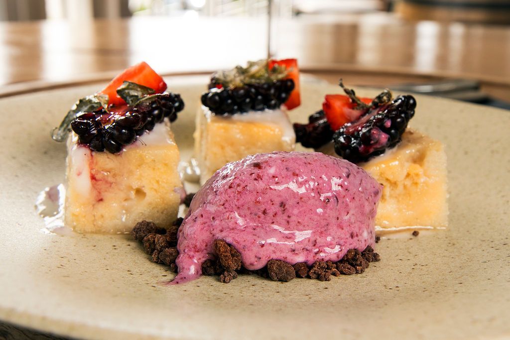 Dessert with cake cubes, berry topping, and purple mousse on a plate.