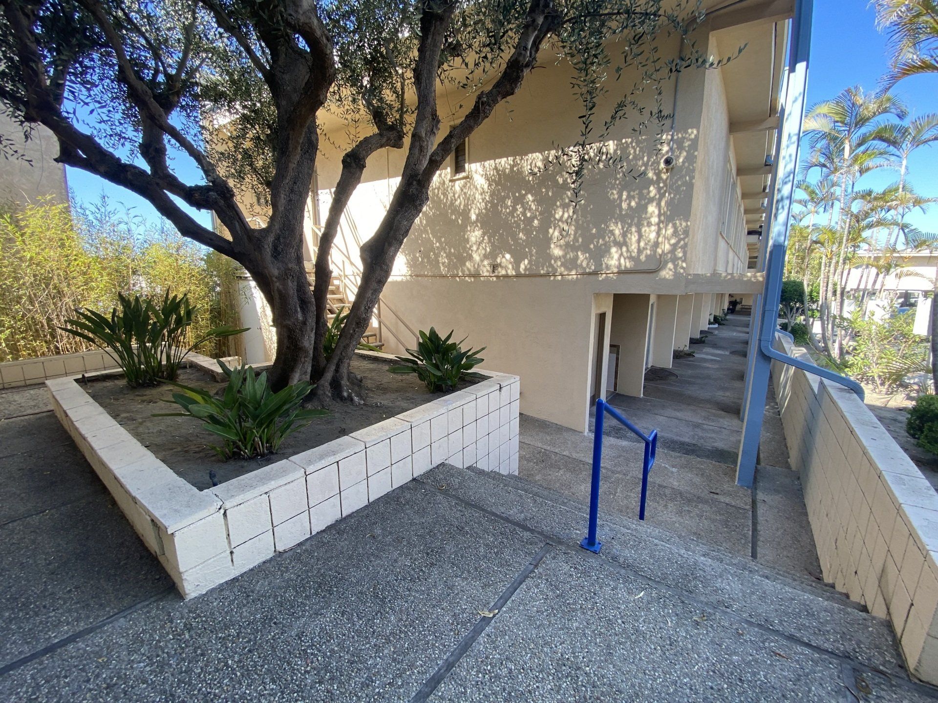 stairs leading up to a building with a tree in the middle