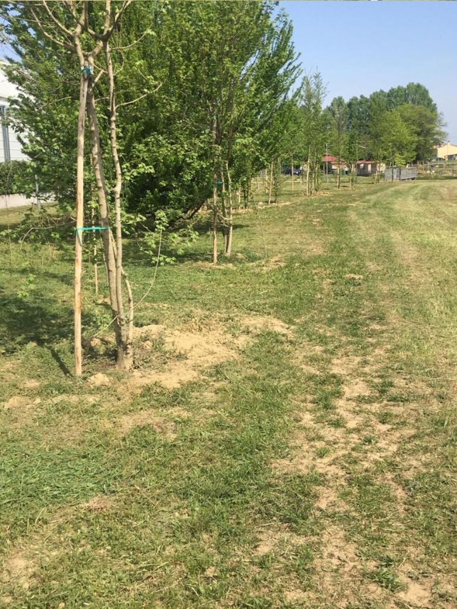 manutenzione aree verdi