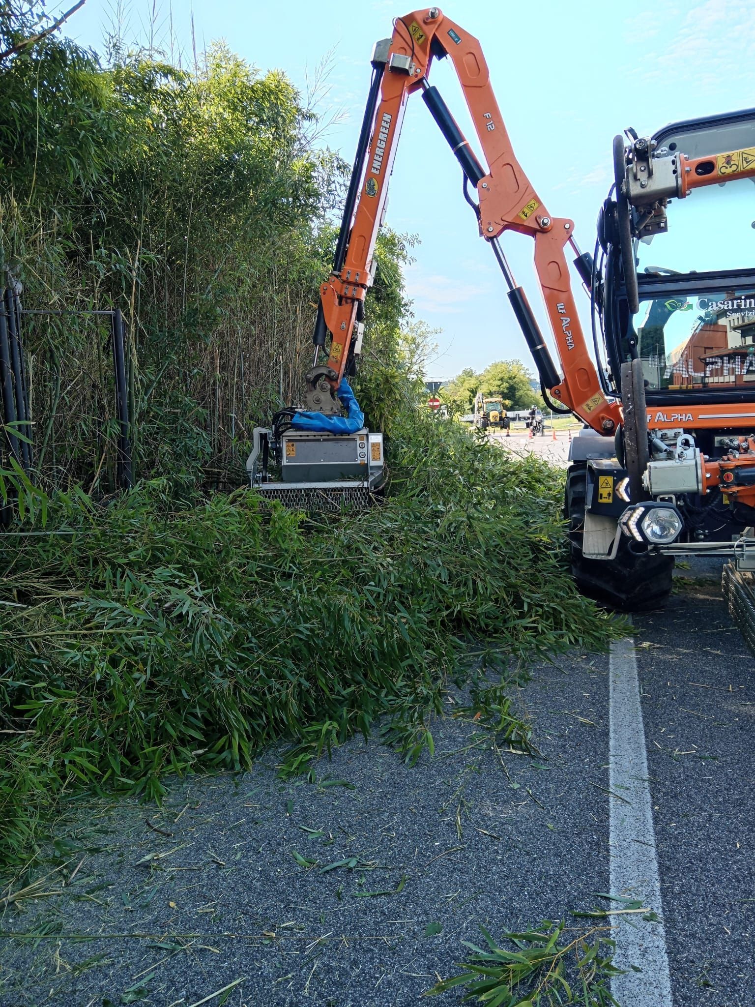 manutenzione del verde