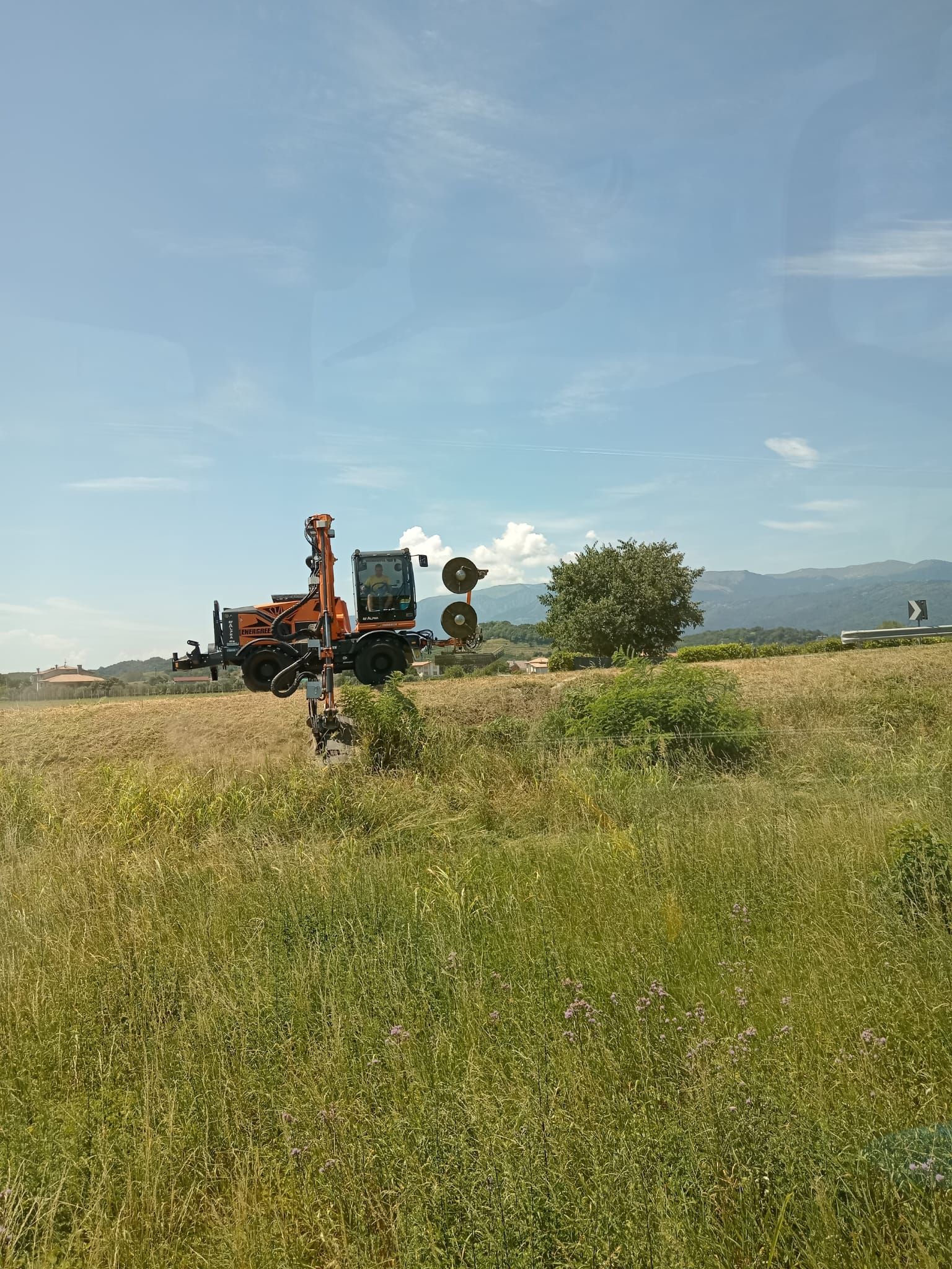 manutenzione del verde