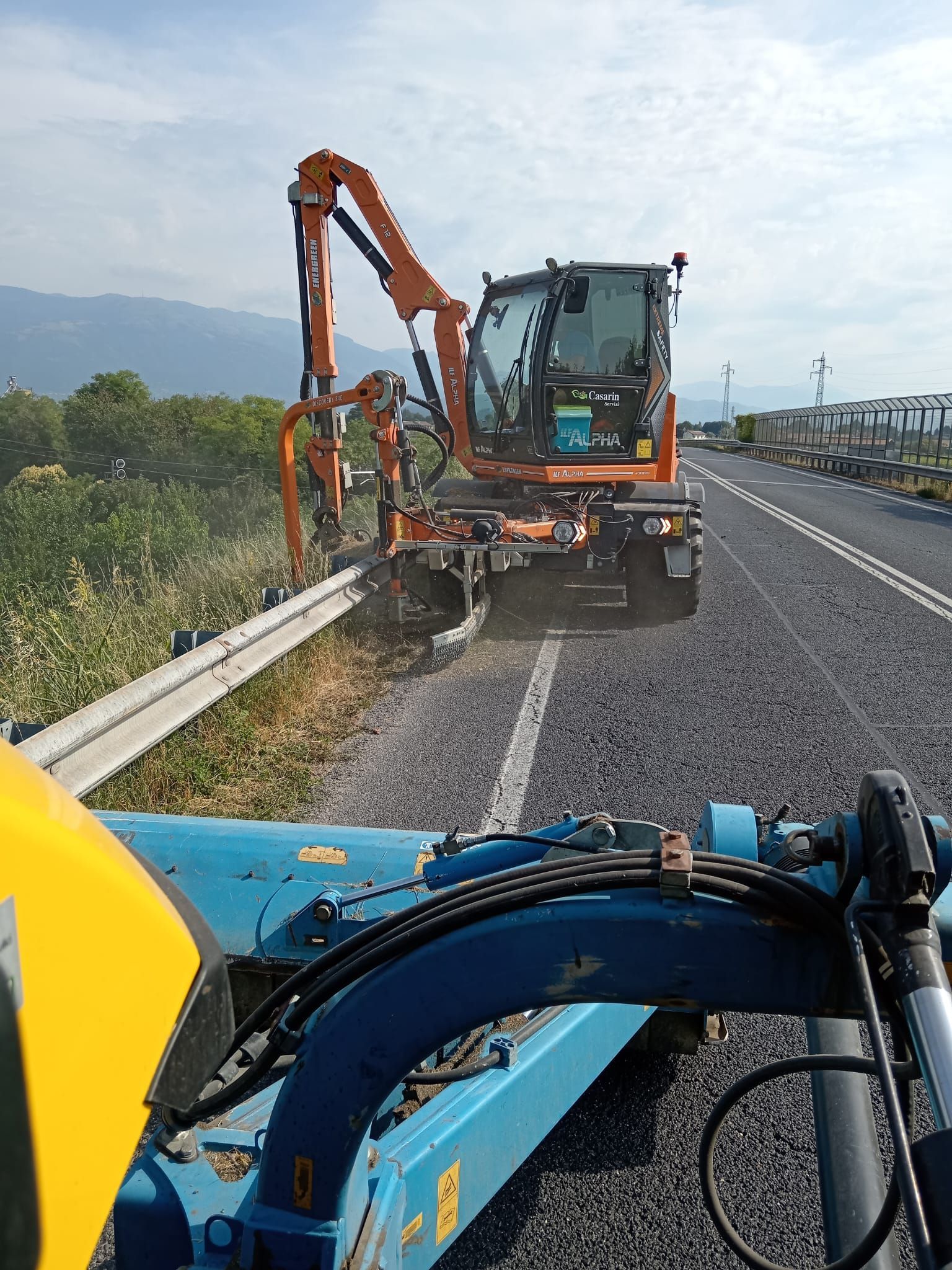 manutenzione del verde