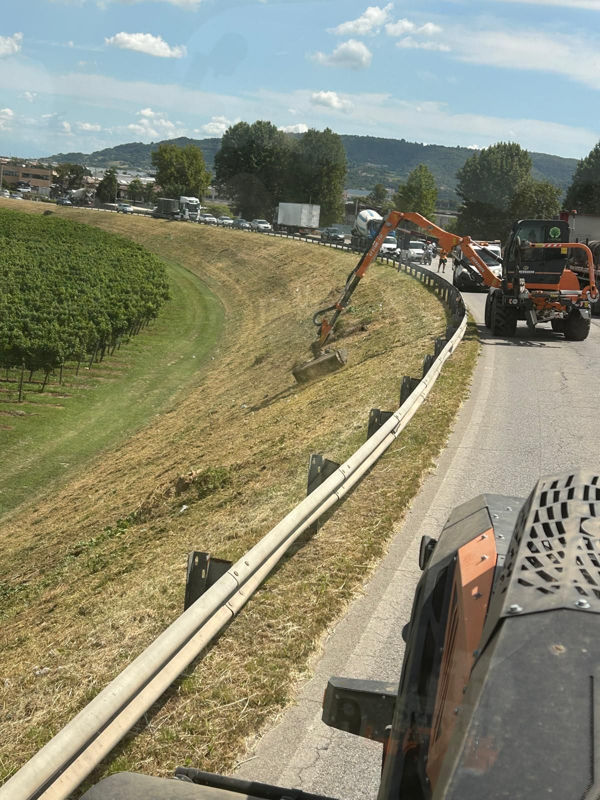 manutenzione del verde