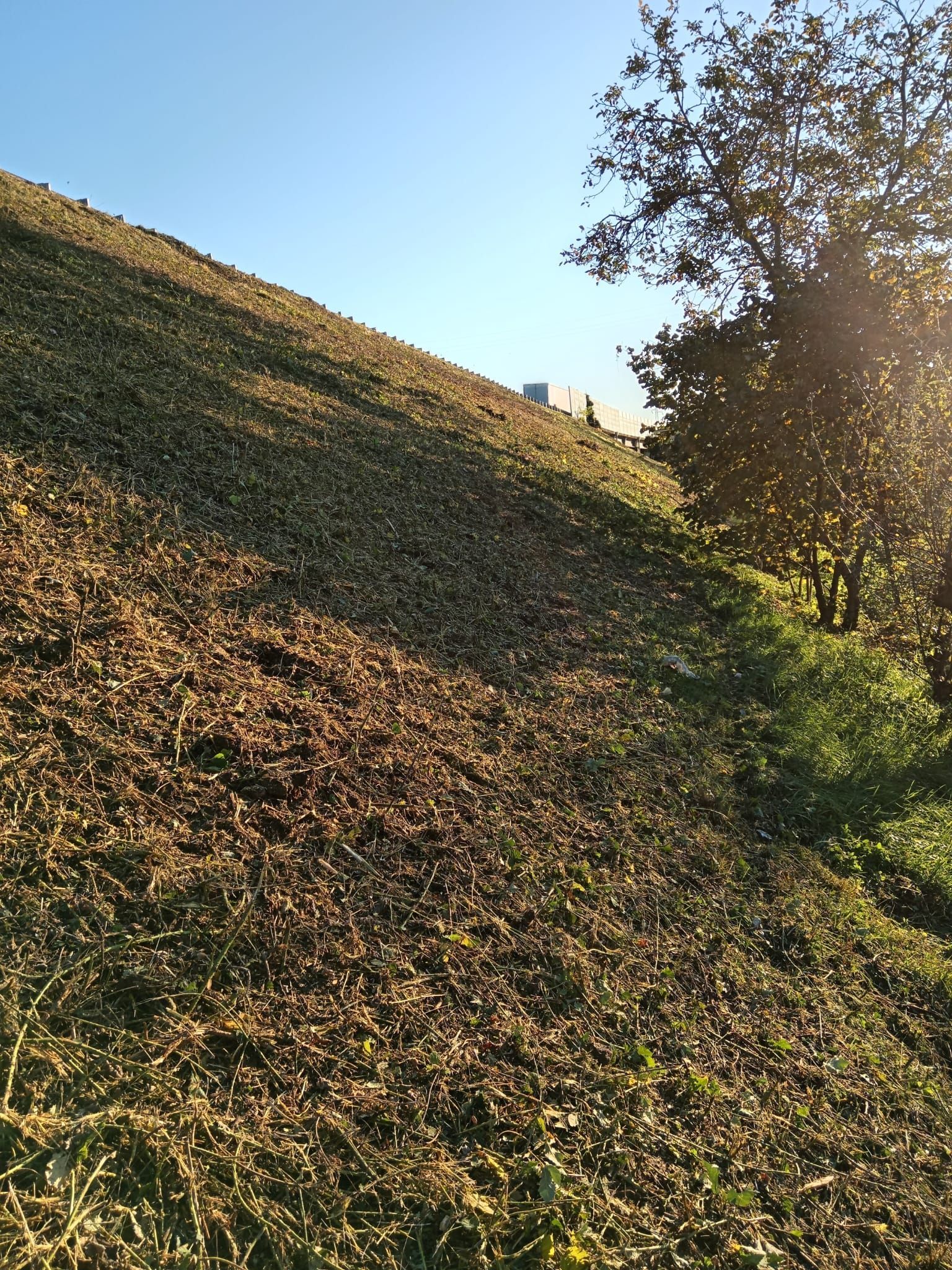 manutenzione del verde