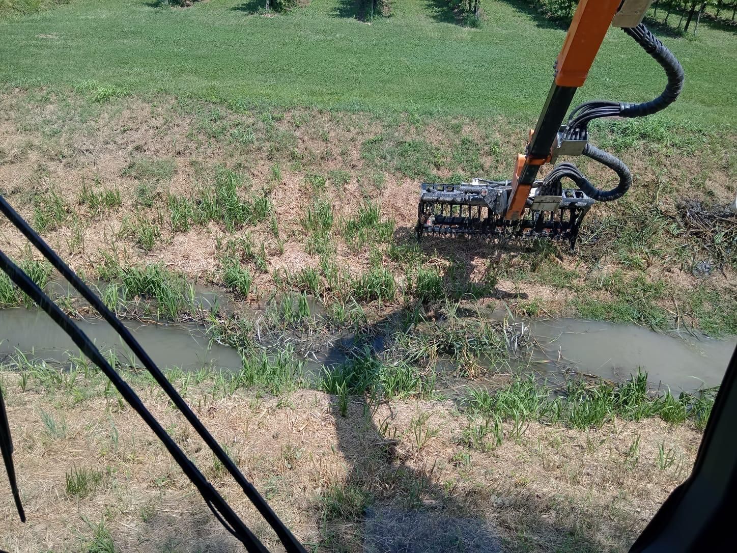 manutenzione del verde