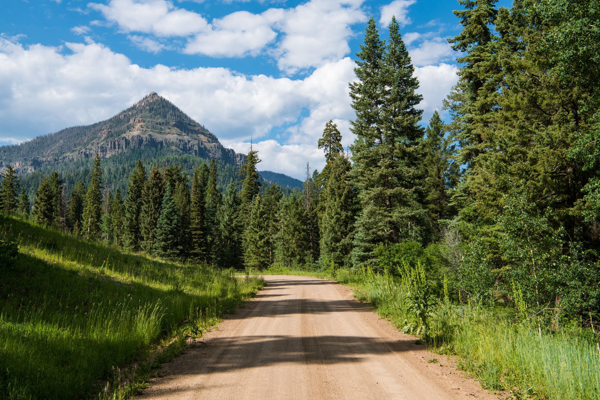 a dirt road going through a forest with a mountain in the background .