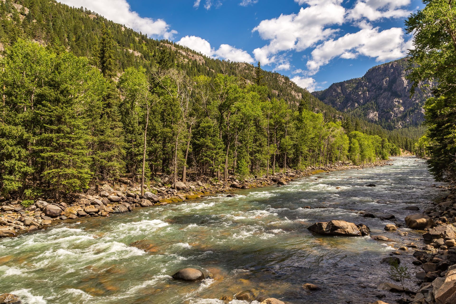 animas river