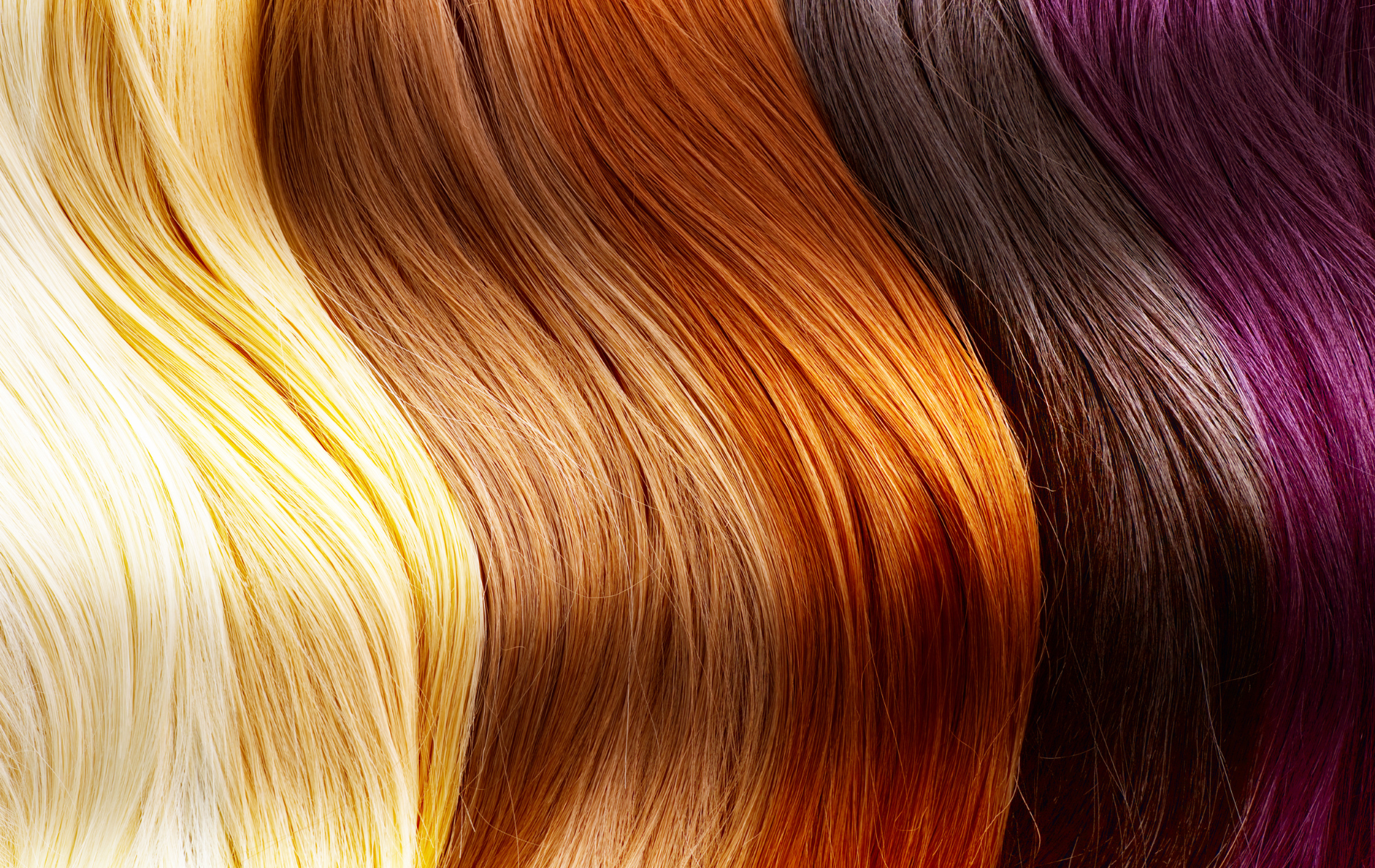 Close-up of wavy strands of hair in various colors: blonde, brown, reddish-brown, dark brown, and purple.