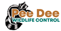 Logo for Pee Dee Wildlife Control, featuring a raccoon with text in brown and teal.