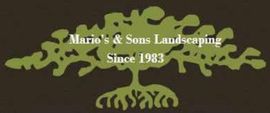 Mario and Sons Landscaping USA