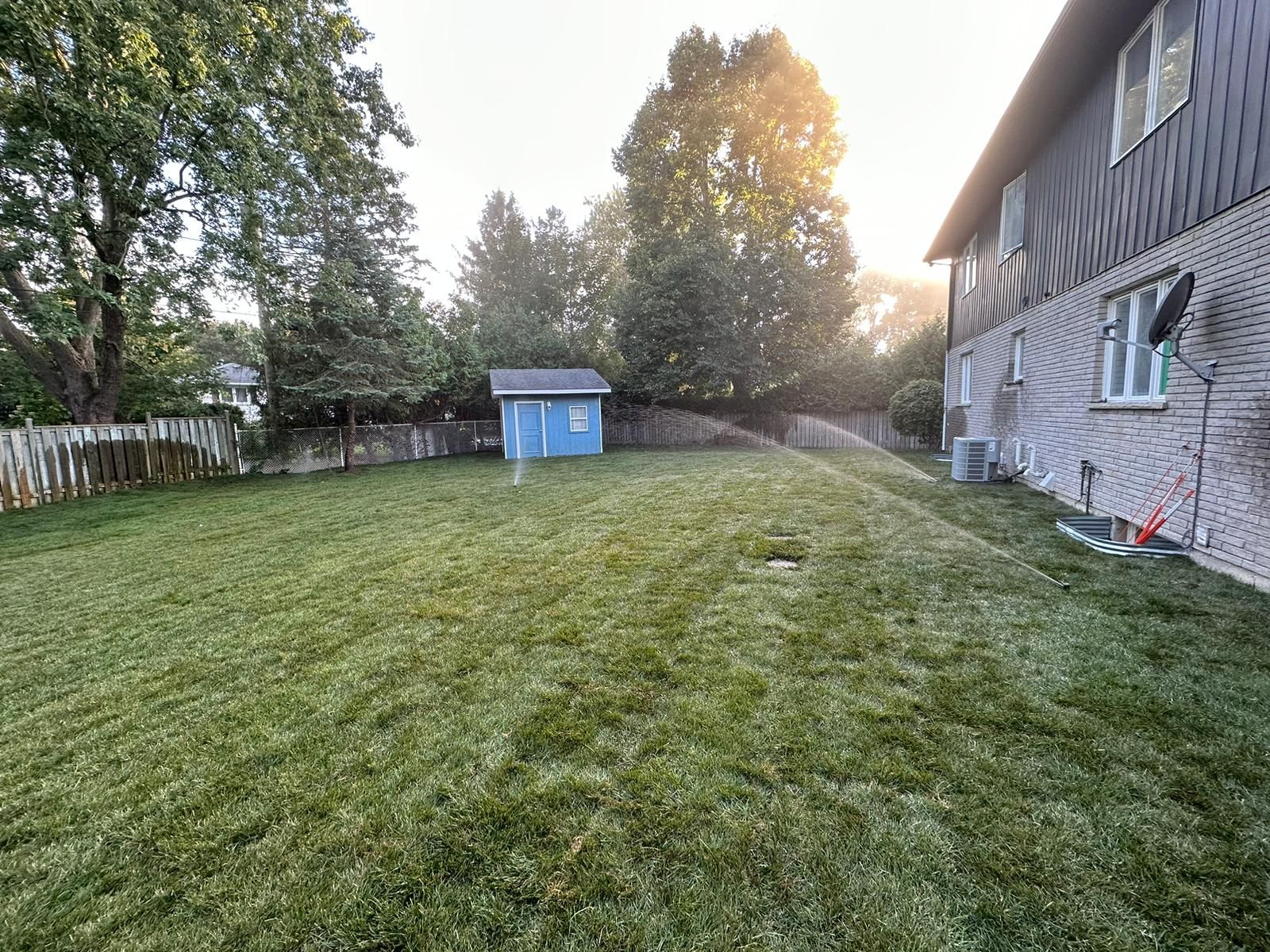 Backyard lawn with a small blue shed, trees, and a house at sunset