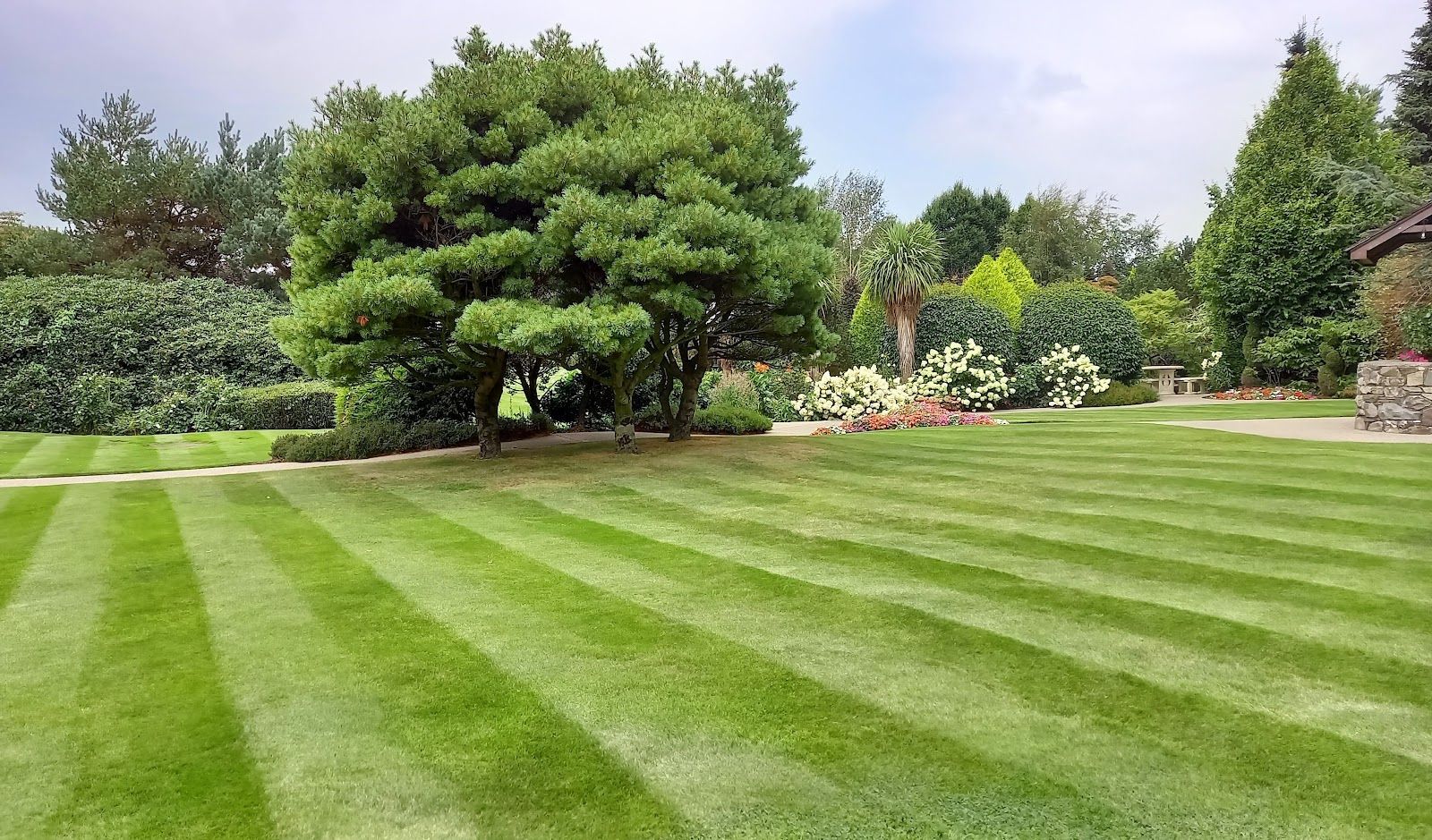 Lush green lawn with striped mowing pattern, a large tree, and garden in a sunny setting.