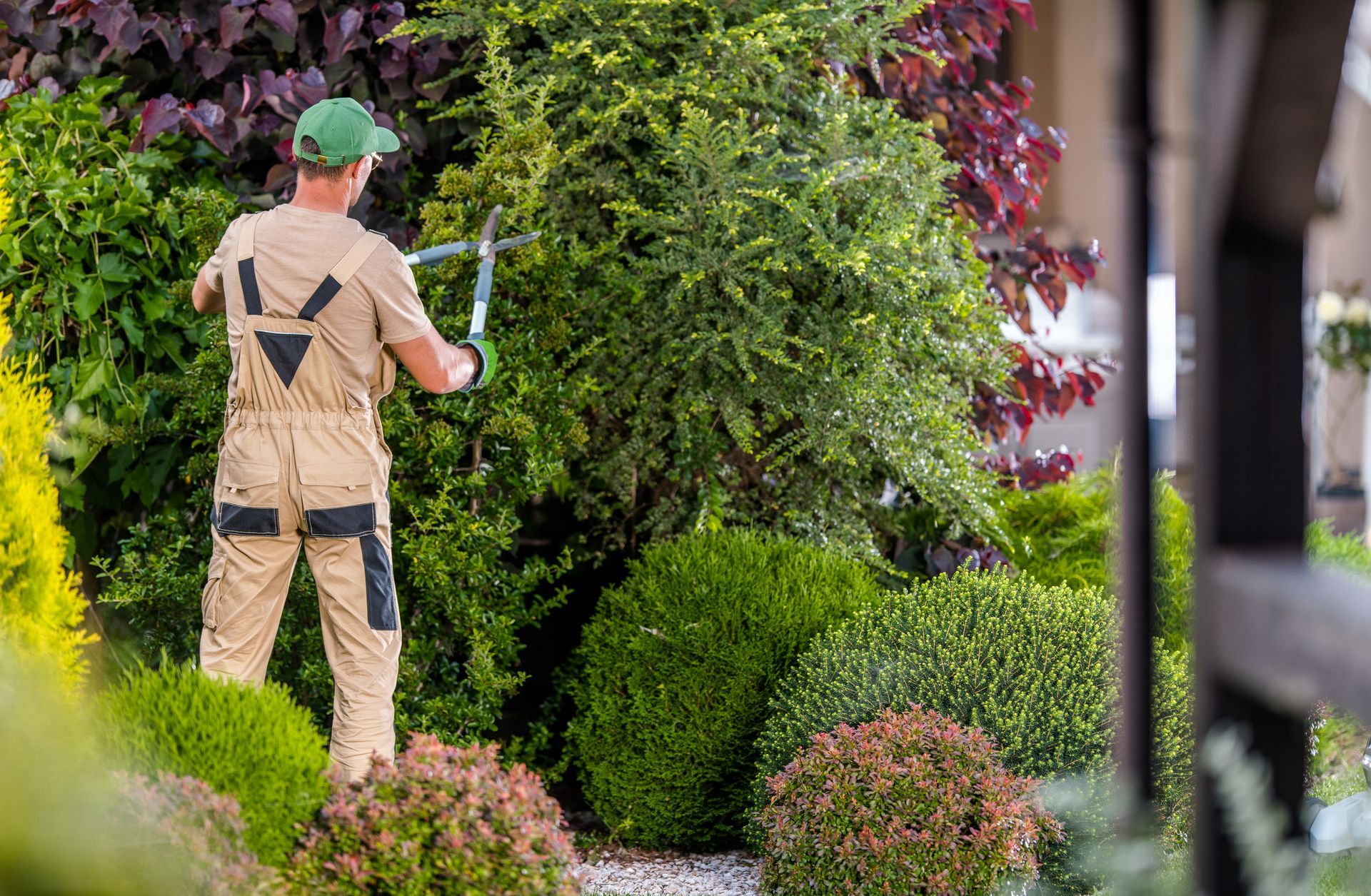 A man is standing in a garden cutting a bush with a pair of scissors.